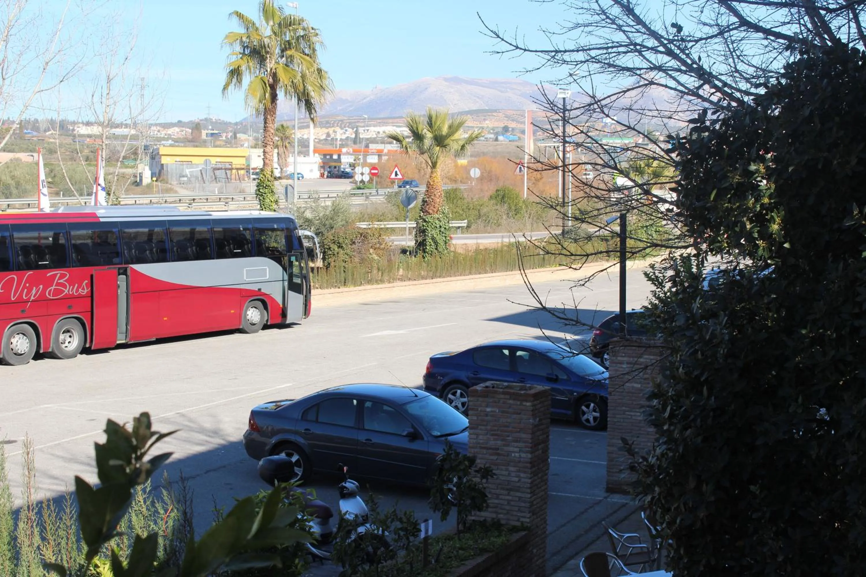 Garden in Hotel Reyes Ziries