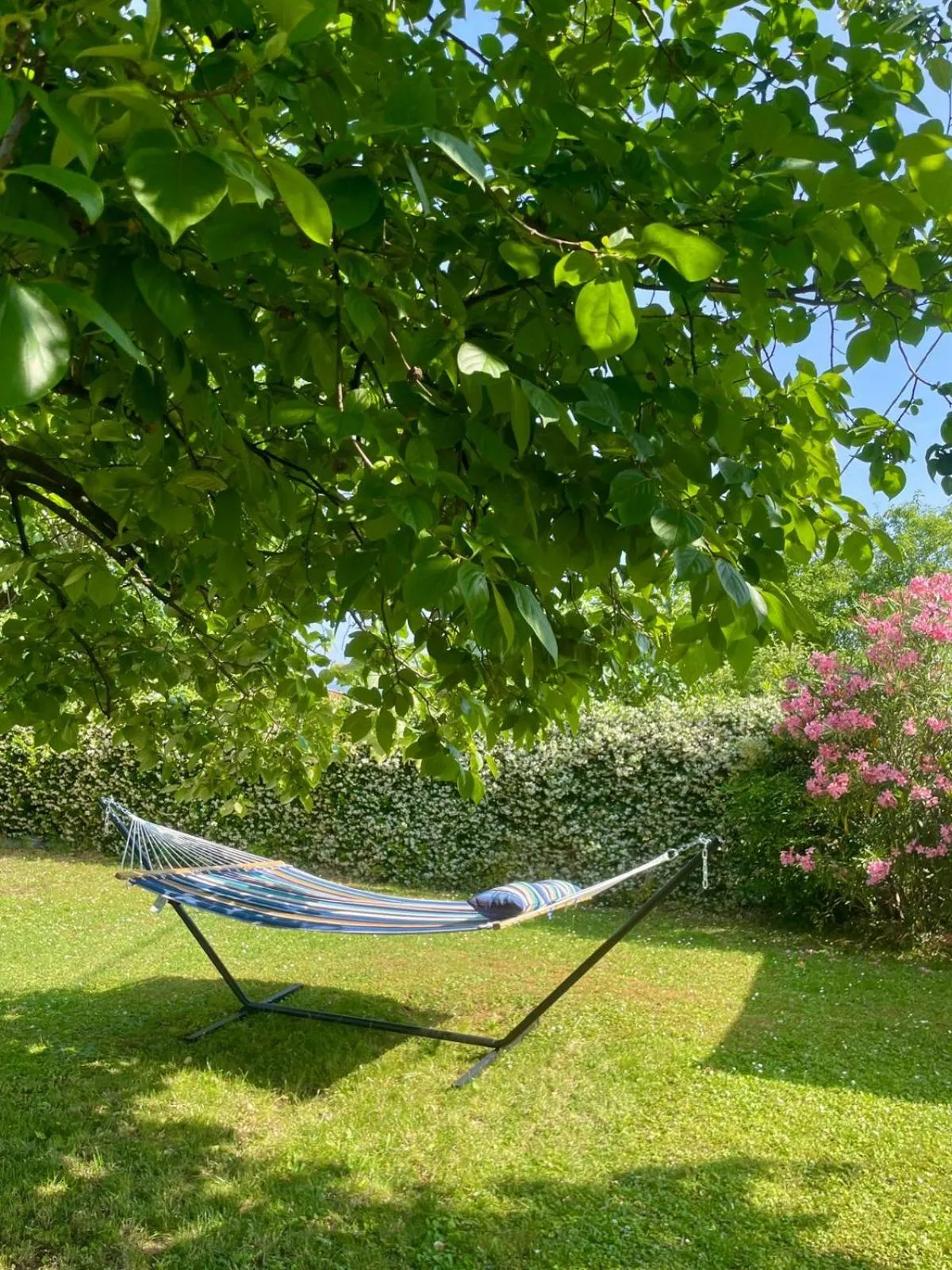 Garden in b&b Ergira