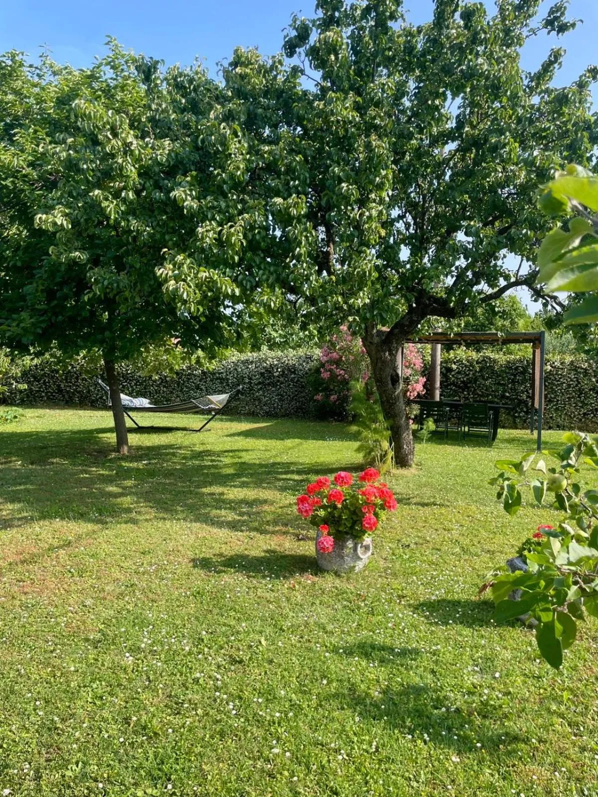 Garden in b&b Ergira