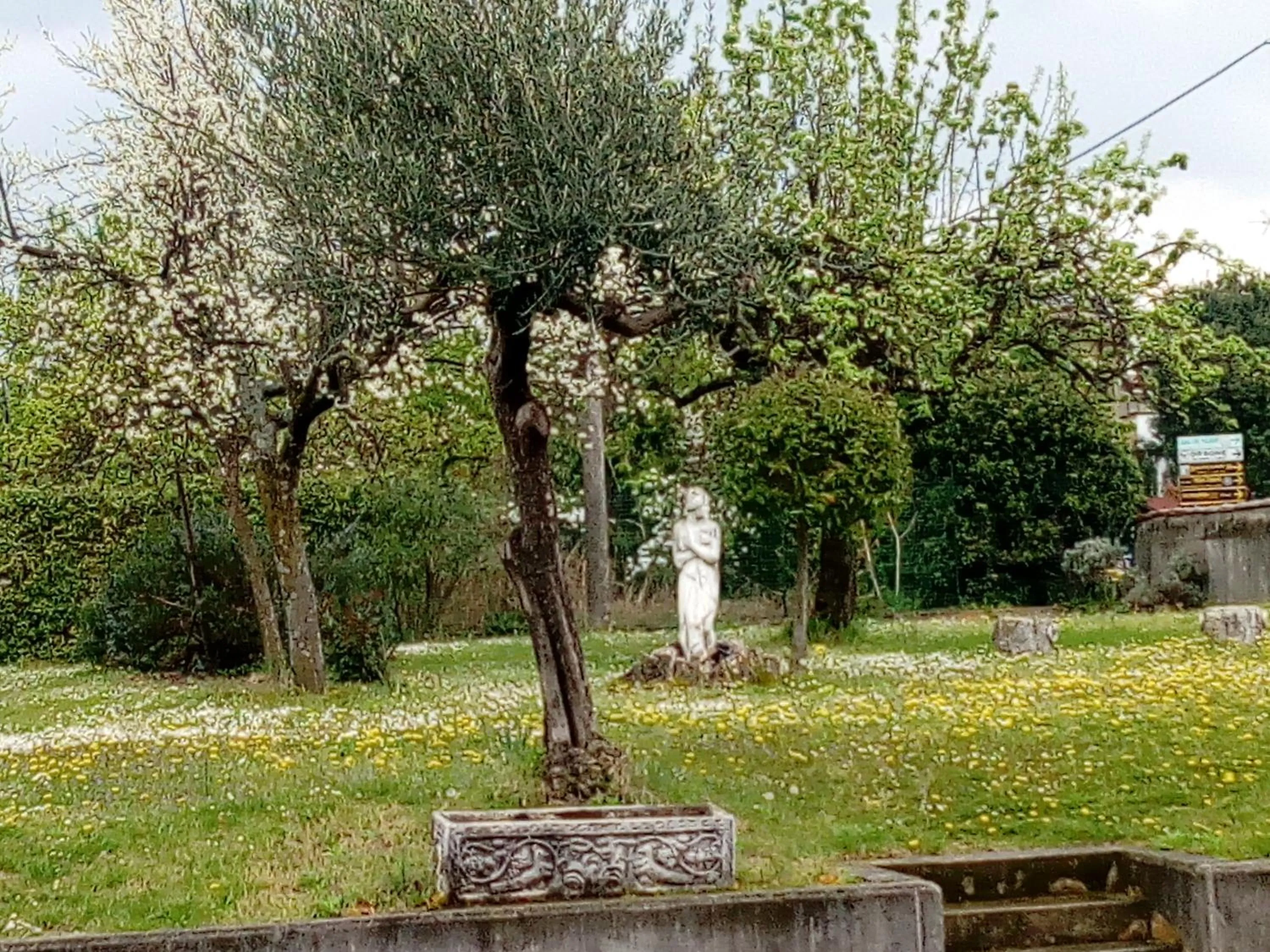 Garden in b&b Ergira