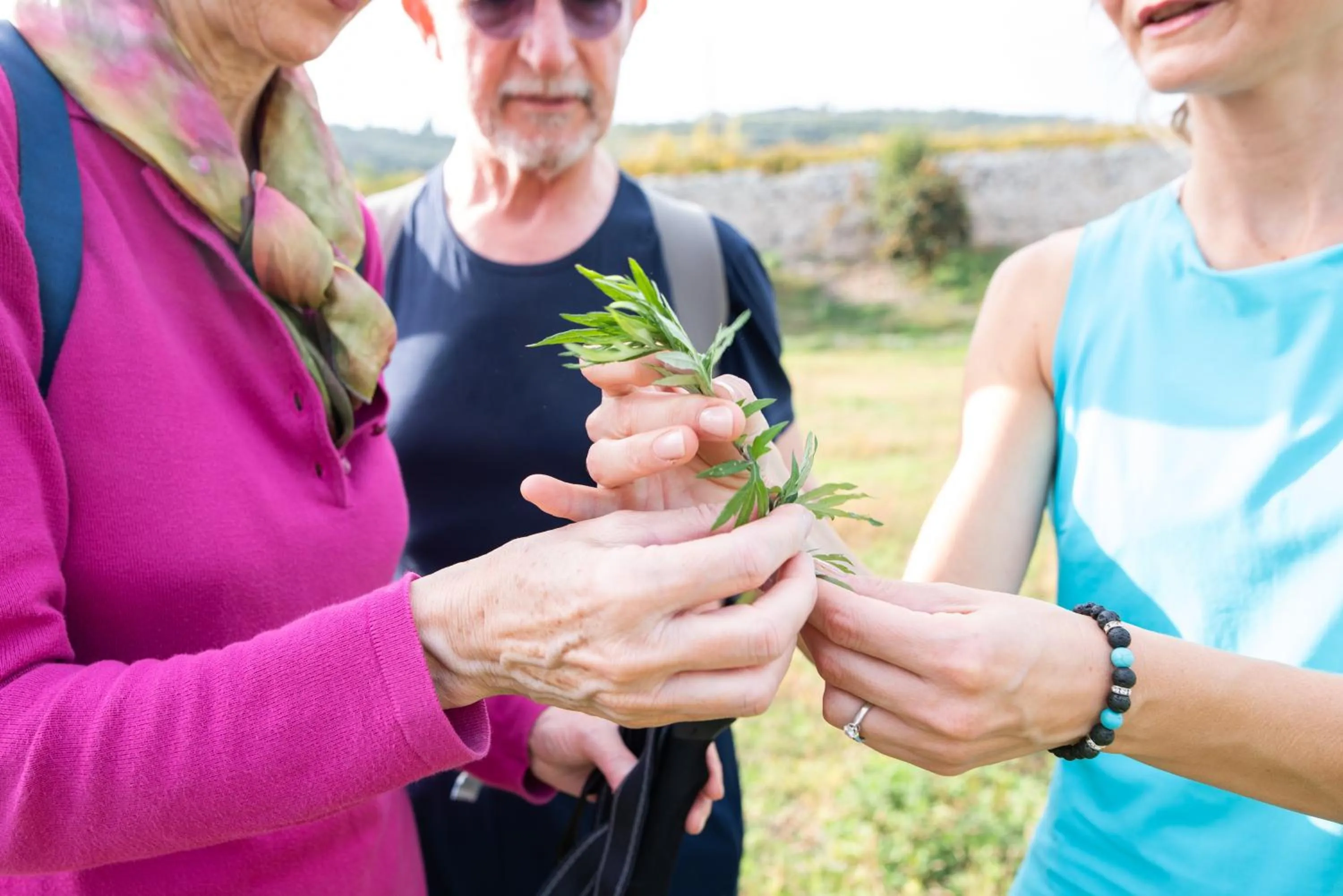 Activities in Villa di Cazzano - BioLuxury Living