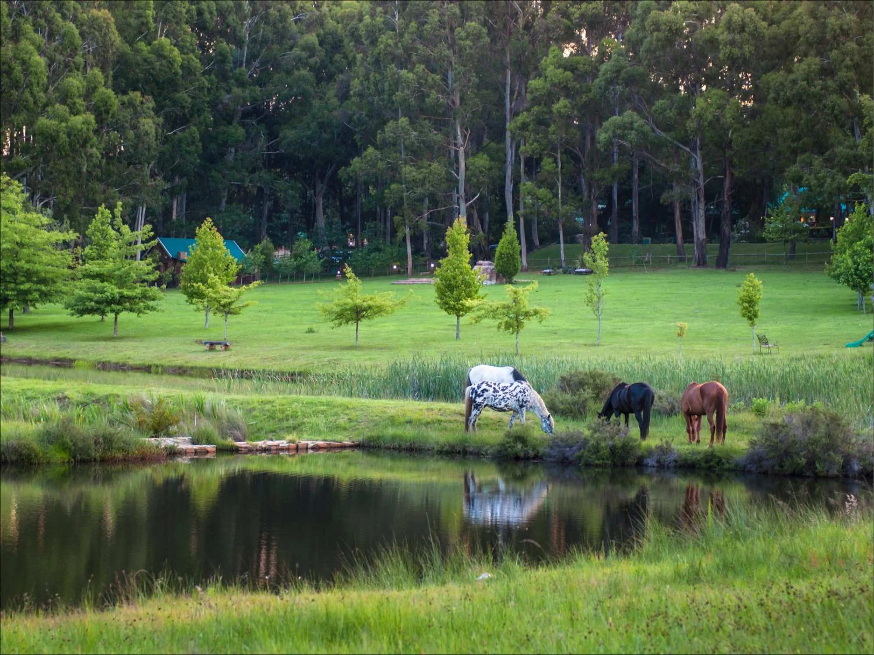 Dunkeld Country & Equestrian Estate