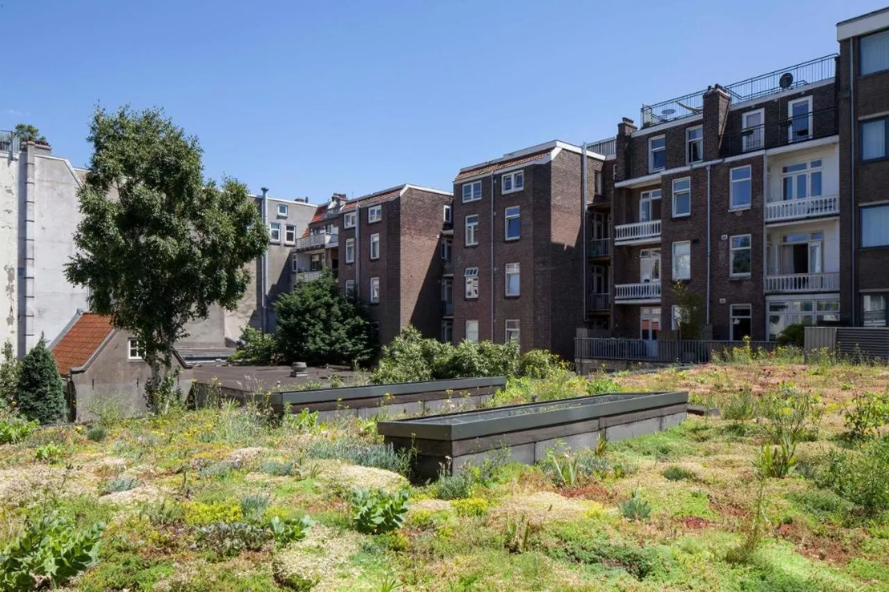 Property building in Conscious Hotel Vondelpark