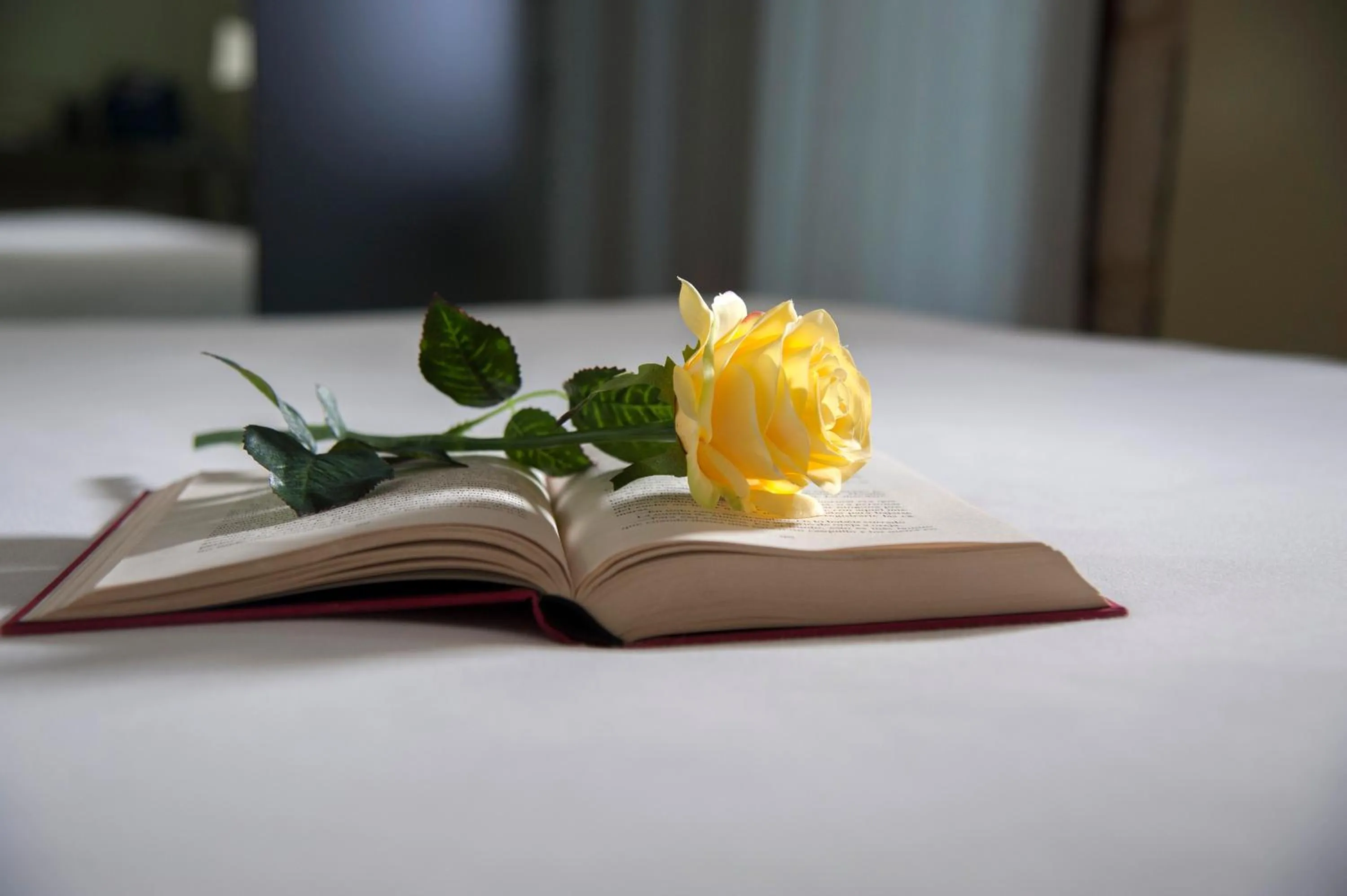 Decorative detail, Bed in Casas Reais Boutique