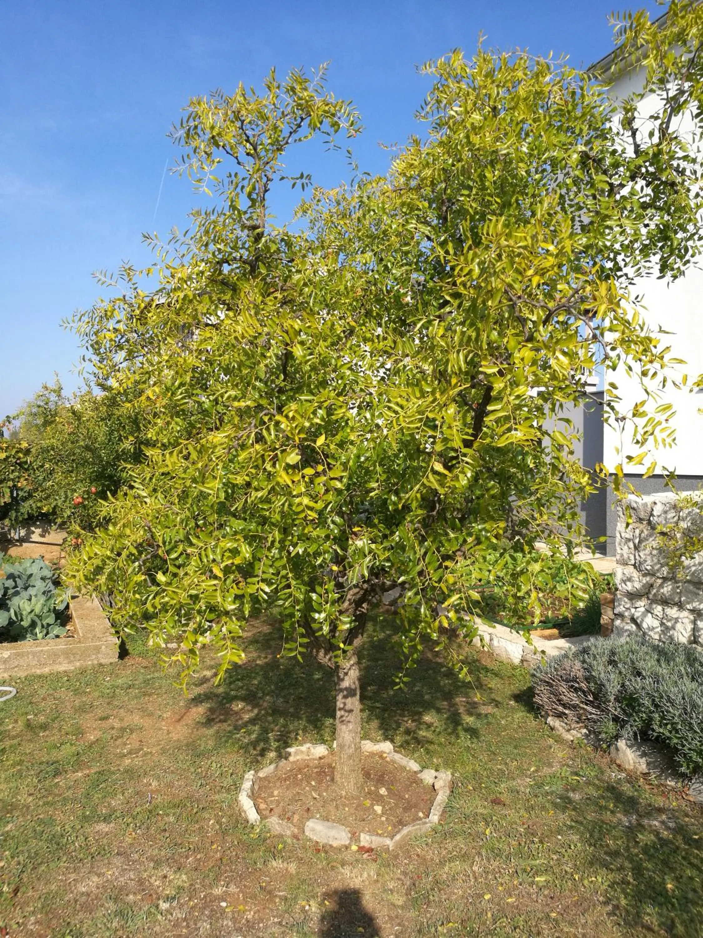 Natural landscape in Guesthouse Villa DomeNico