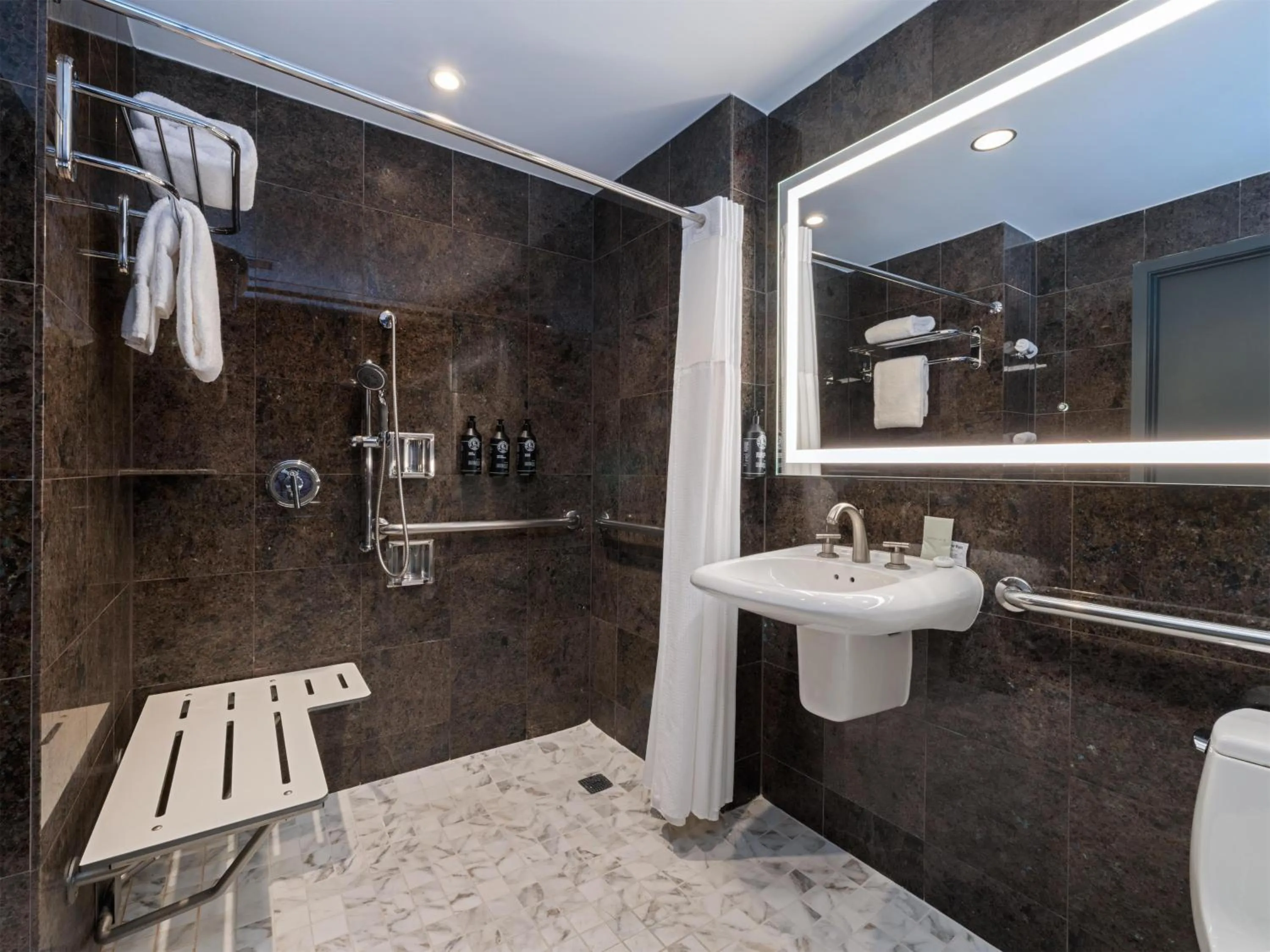 Shower in The Sam Houston, Tapestry Collection by Hilton