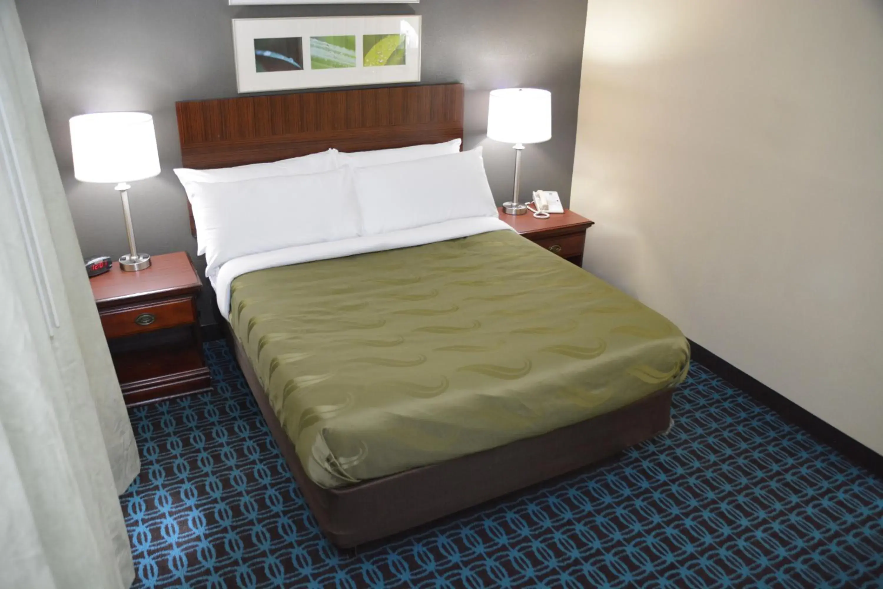 Bed in Quality Inn & Suites