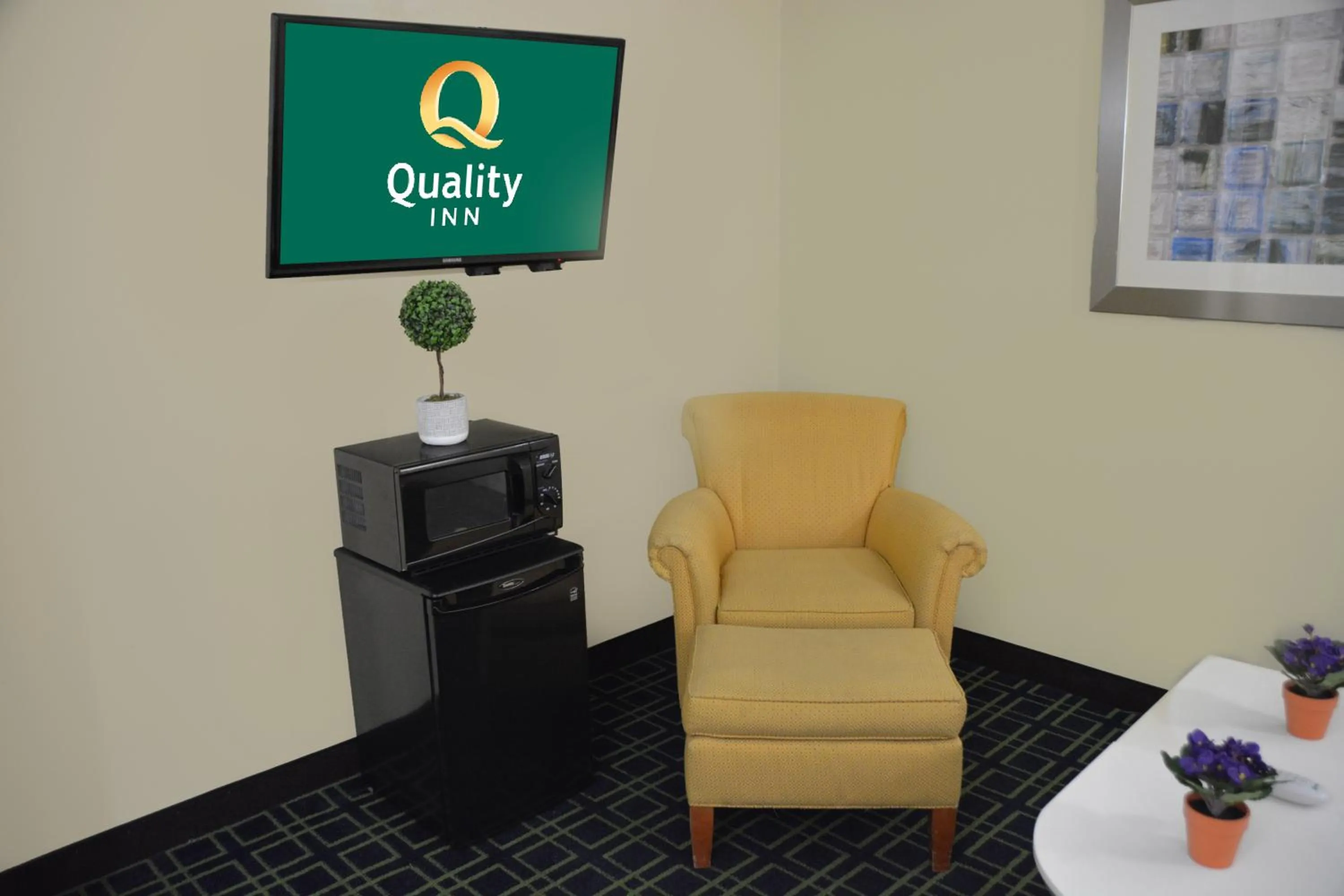 Quality Inn & Suites Dublin