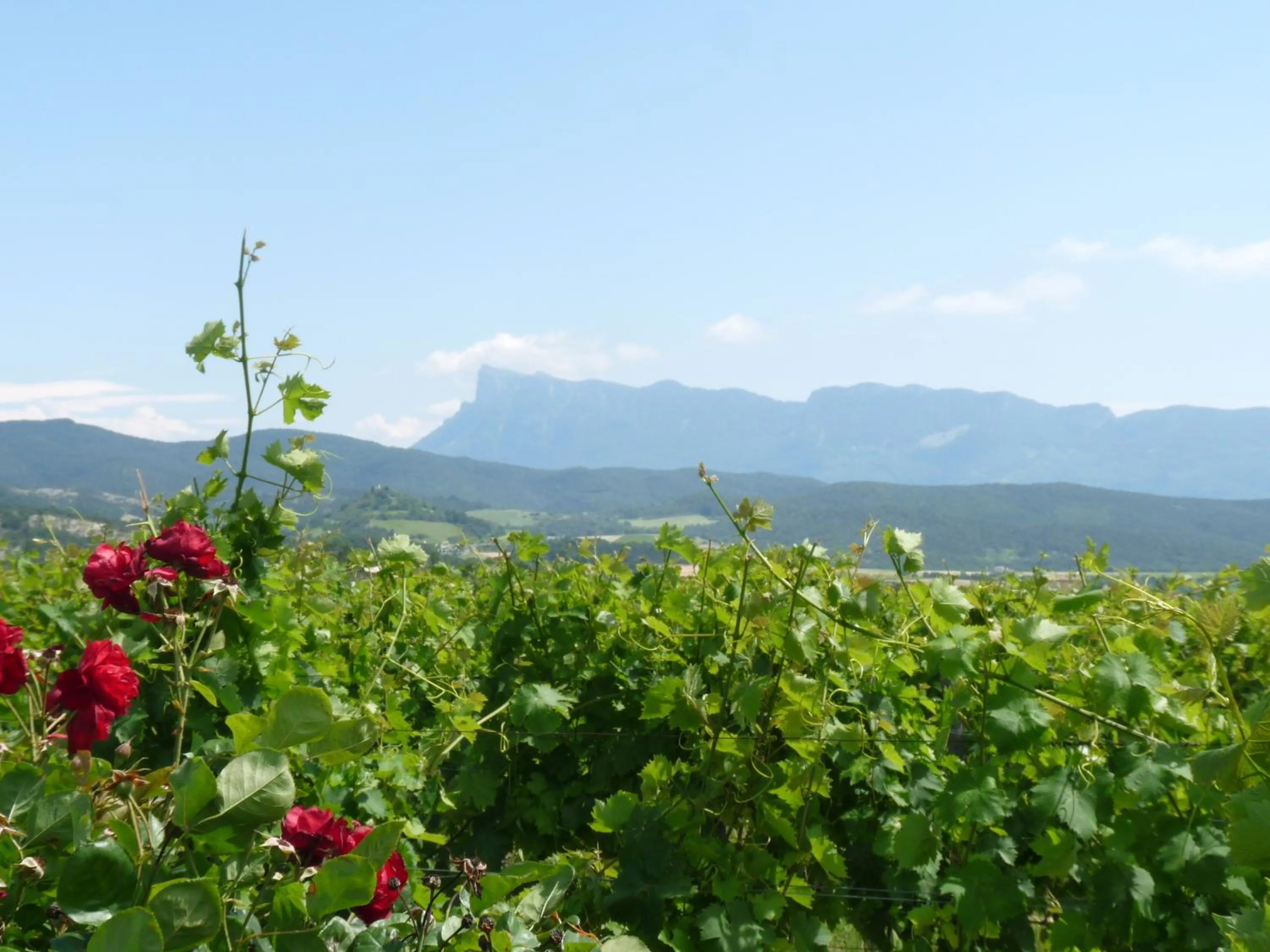 Mountain view in La Bouillarde