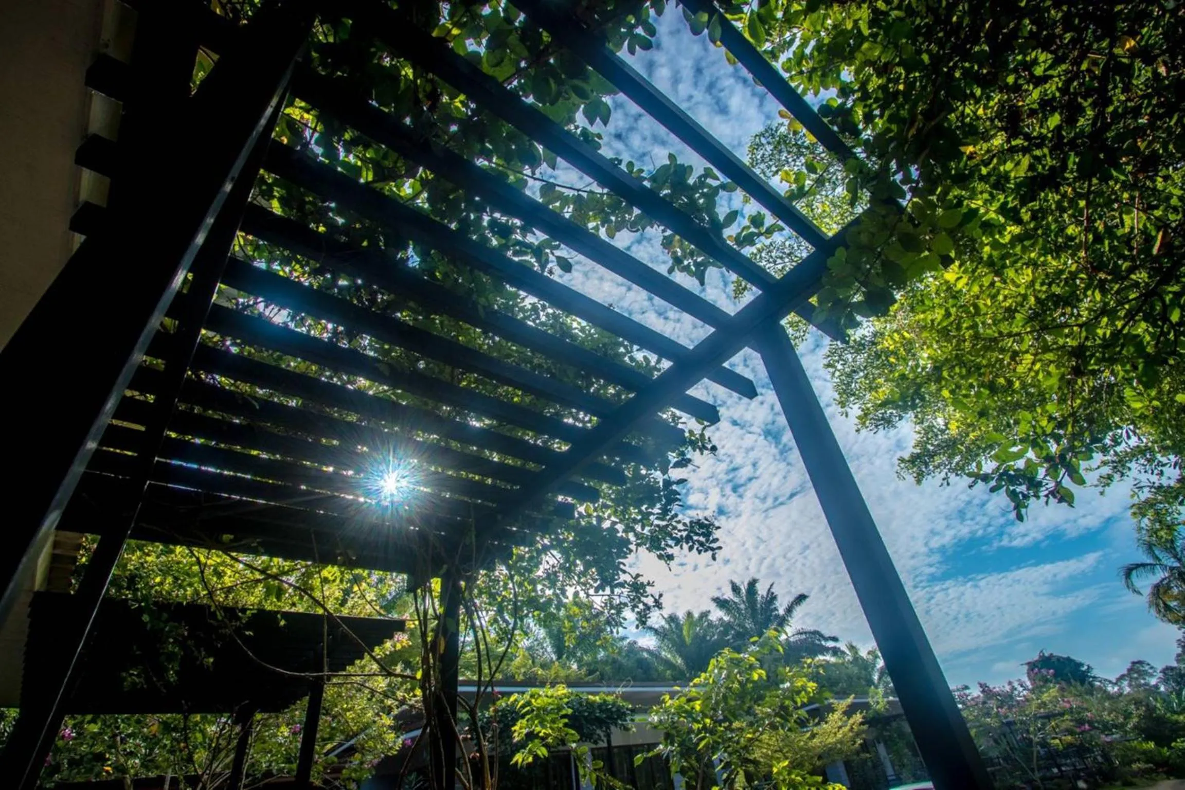 Property building in Baan Suan Hill Resort