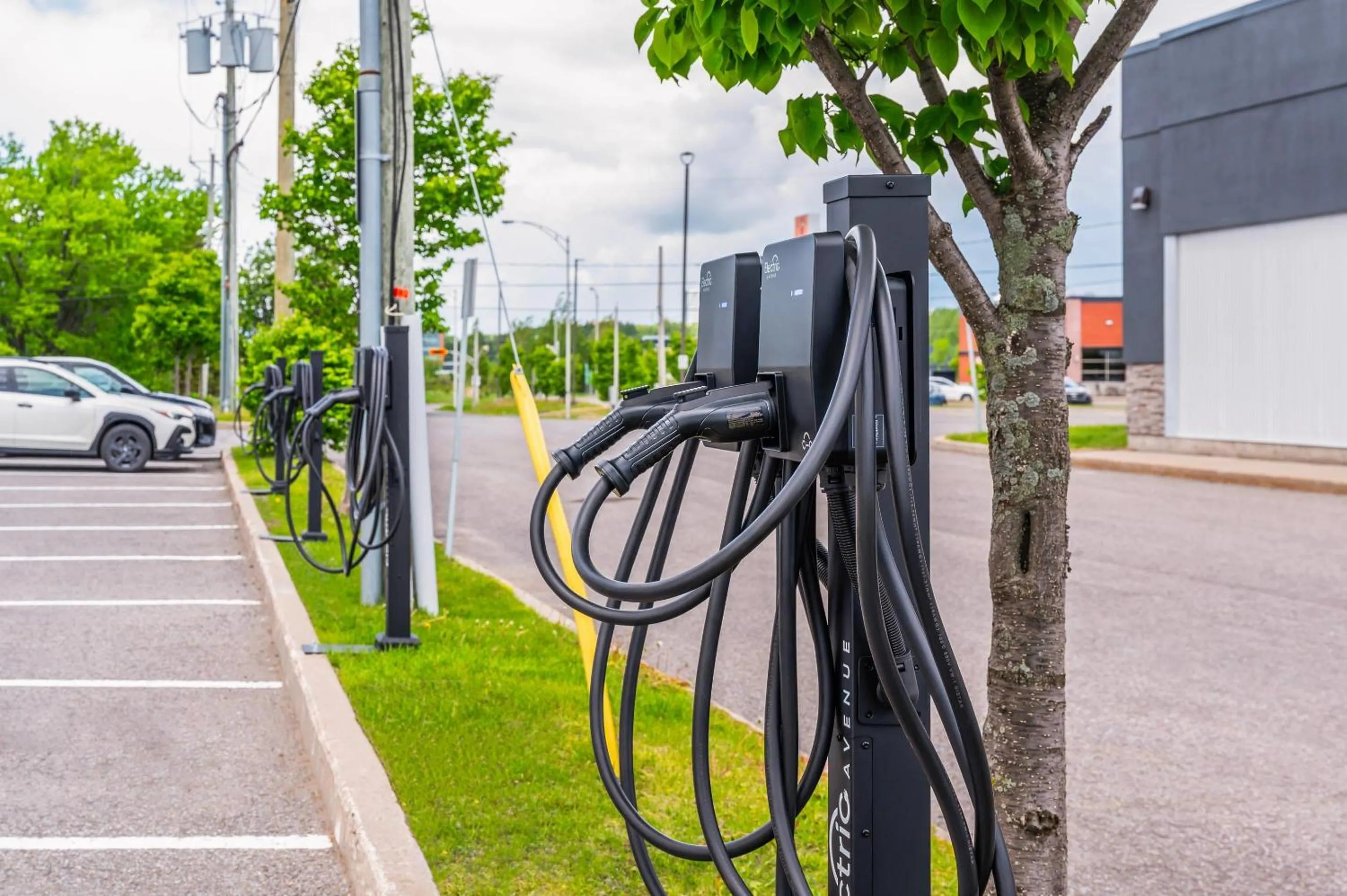 Other in Quality Inn & Suites