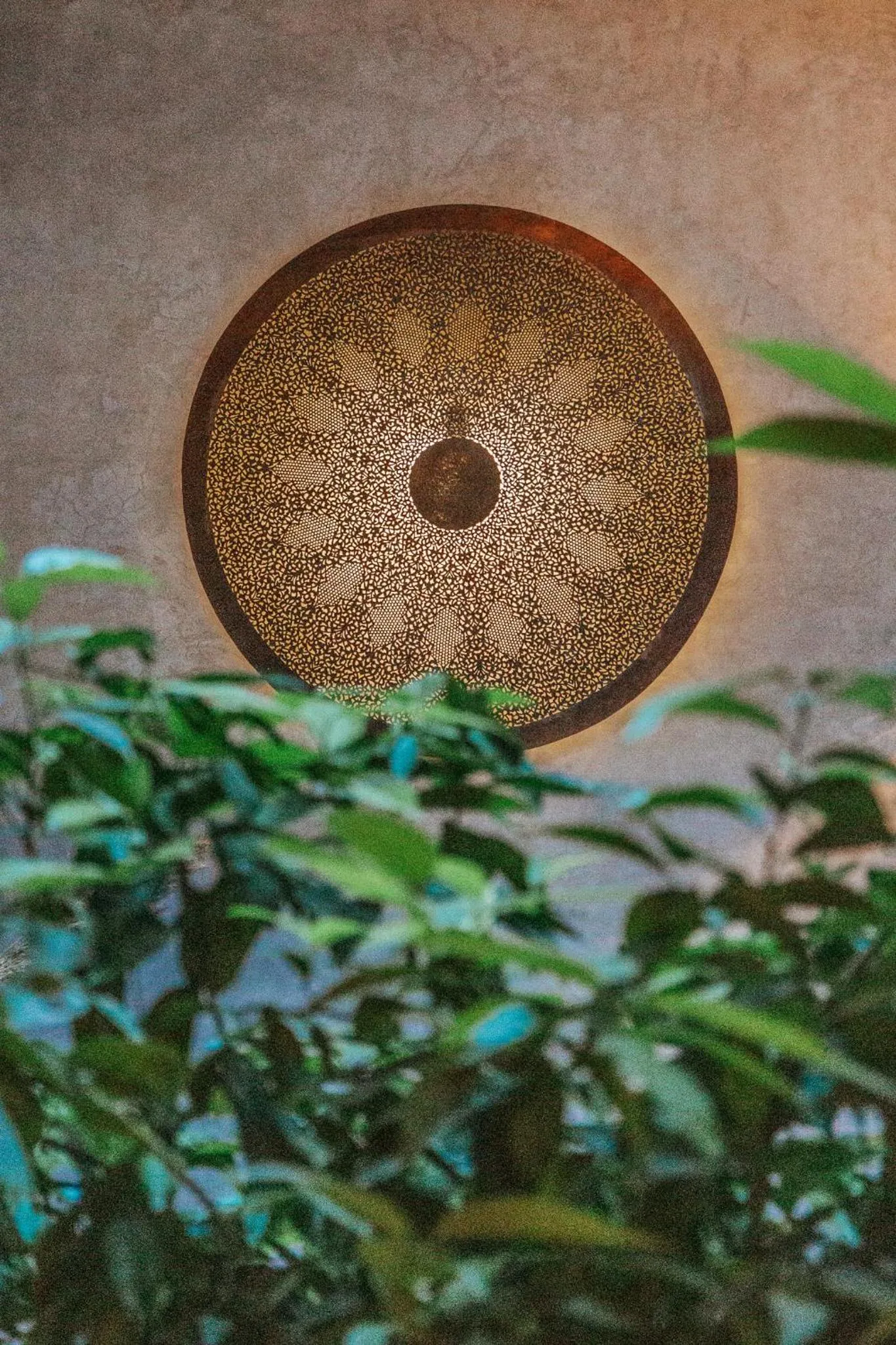 Other in Riad Zayane Atlas