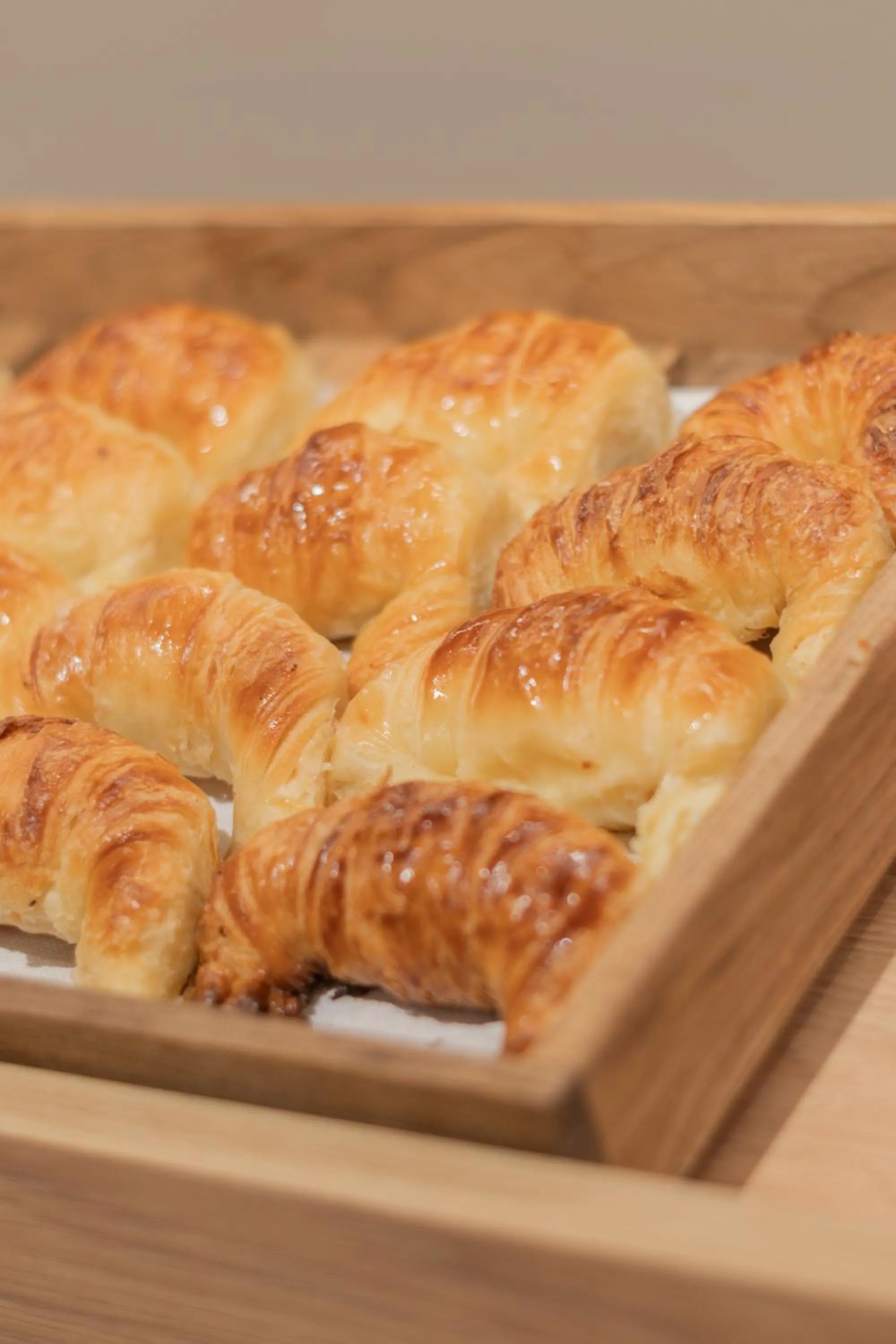 Hotel Solans Carlton