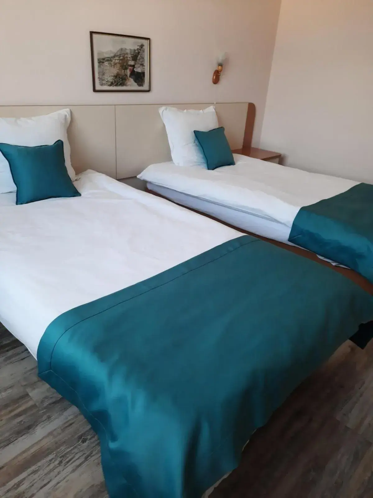 Twin Room - single occupancy in Hotel Balkan Twin Room - single occupancy in Hotel Balkan