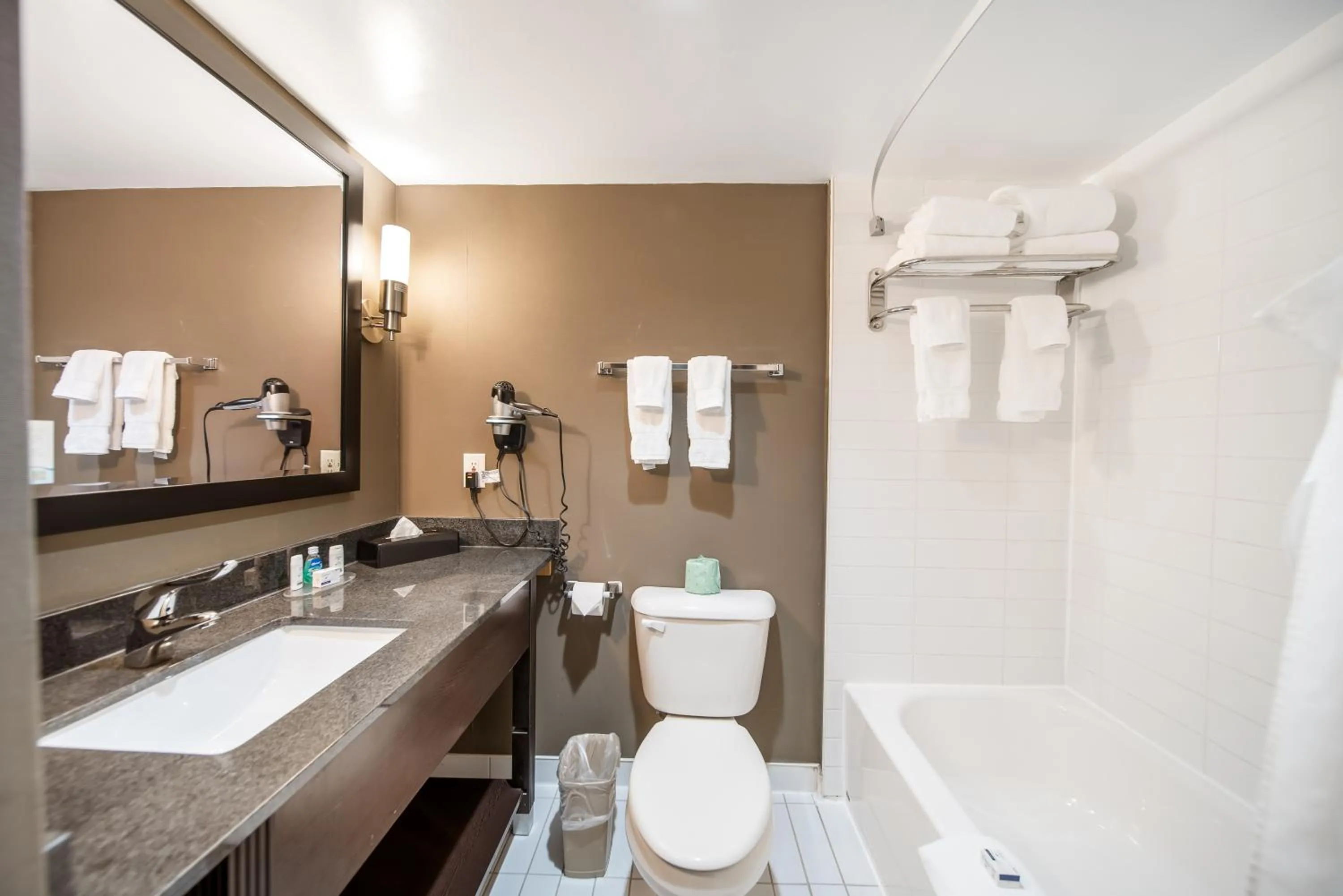 Bathroom in Ramada Plaza by Wyndham Niagara Falls