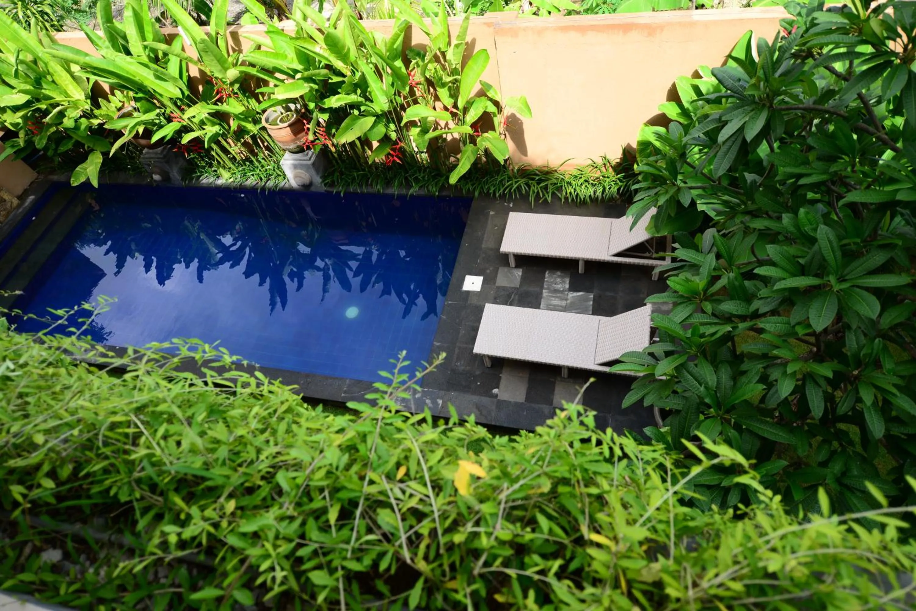 Surya Guest House Sanur