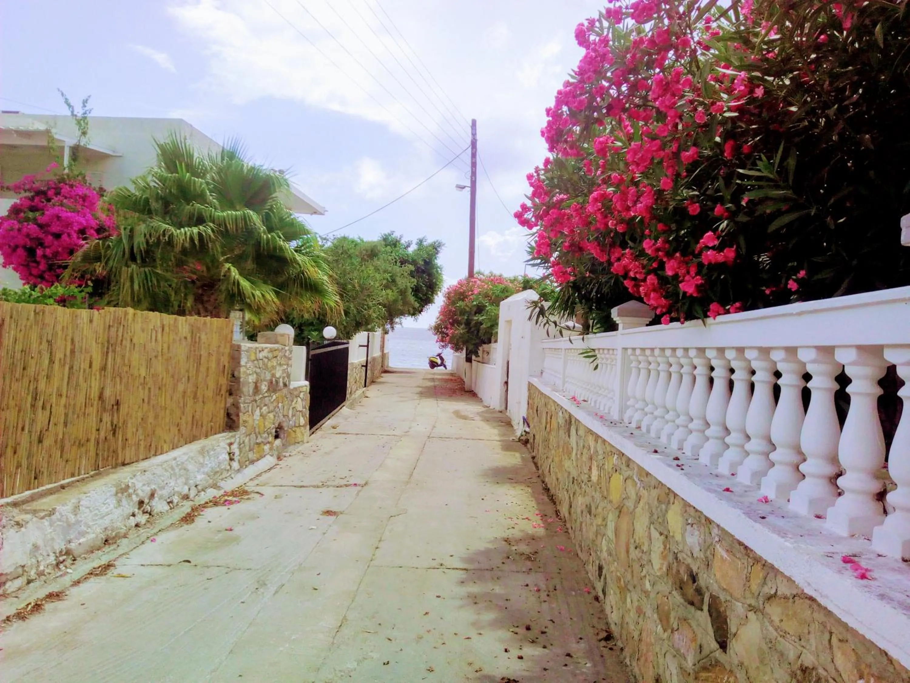 Other in Paradisso Studios