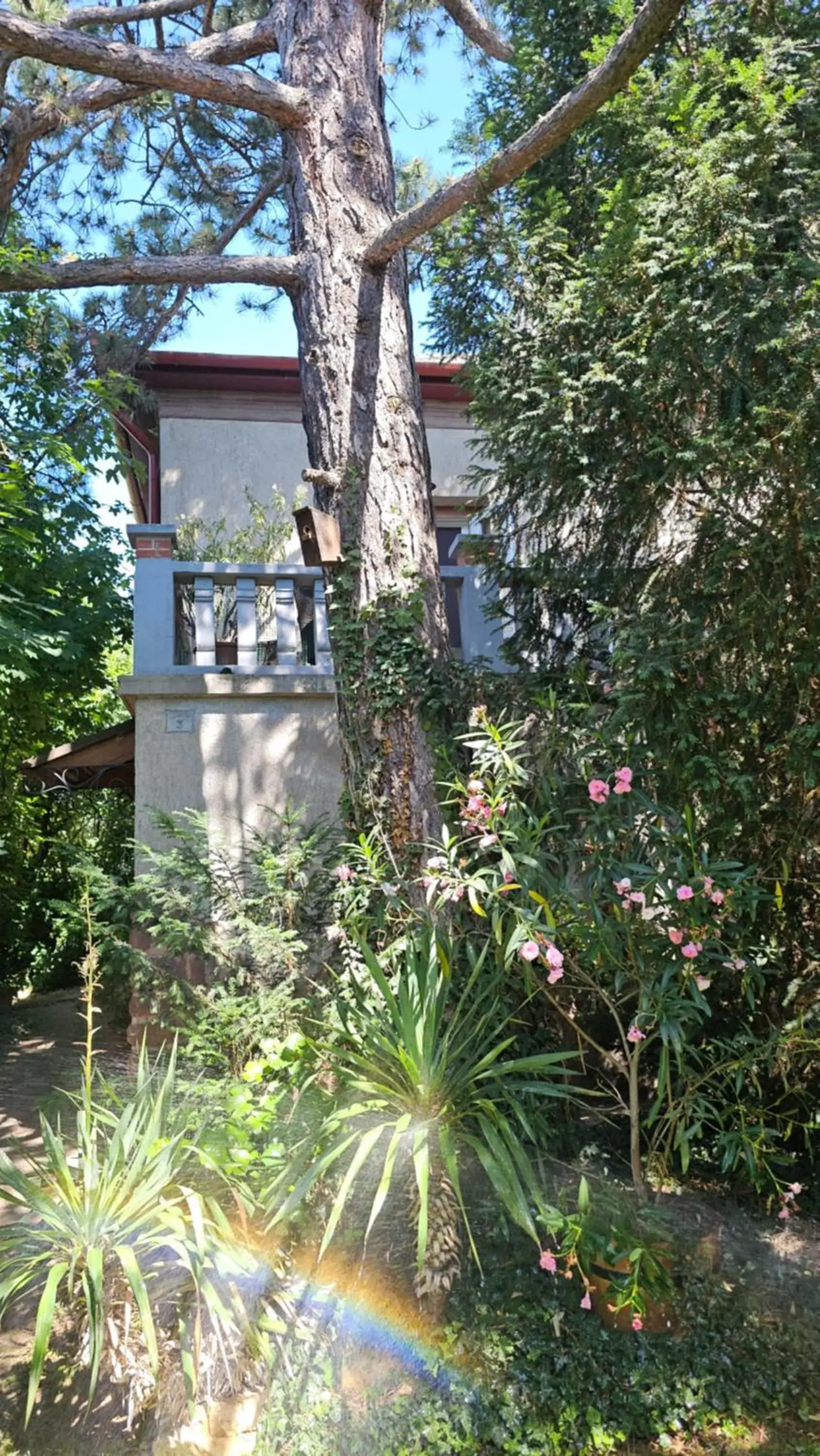 Kasza Villa Kasza Villa