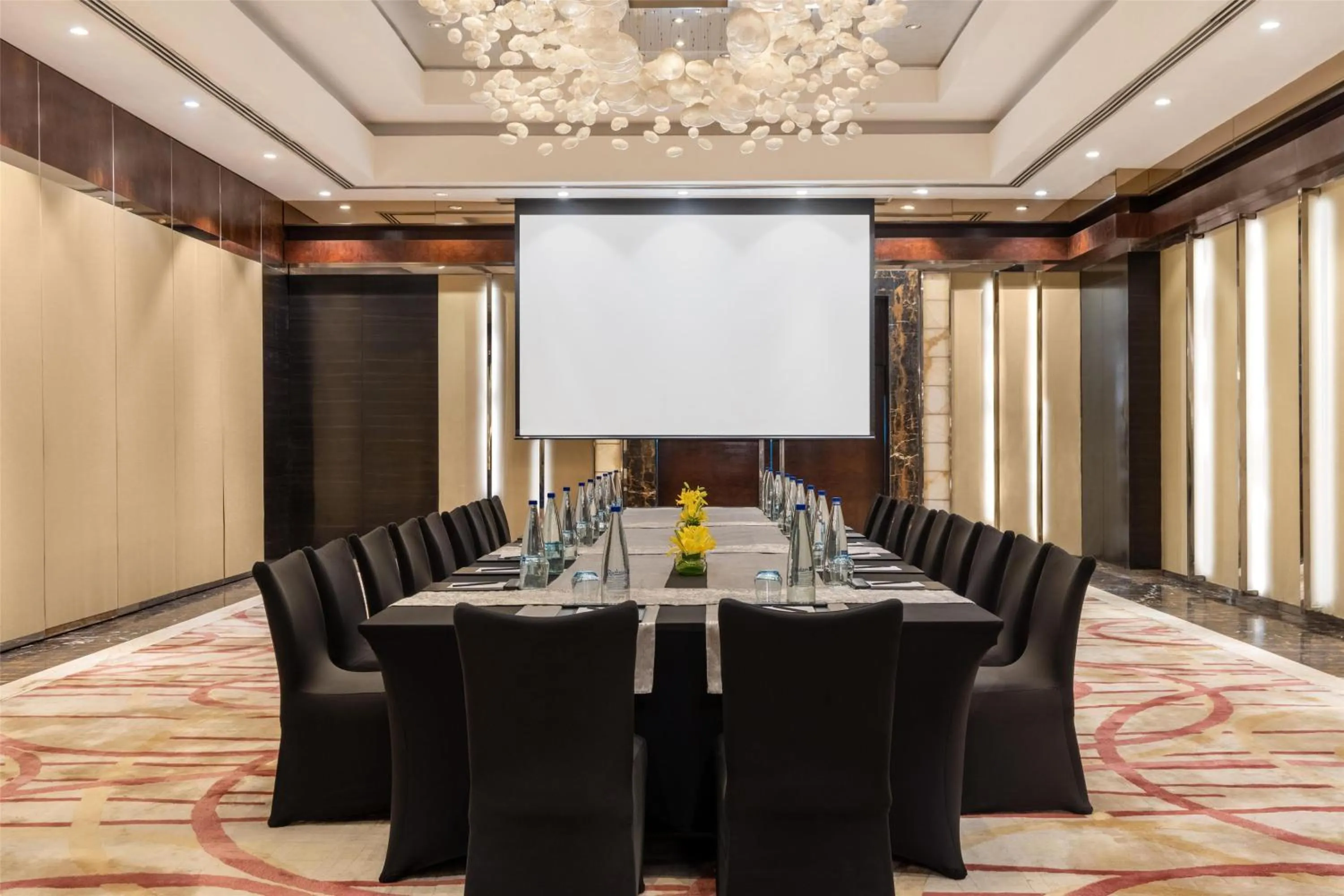 Meeting/conference room in Radisson Blu Plaza Delhi Airport