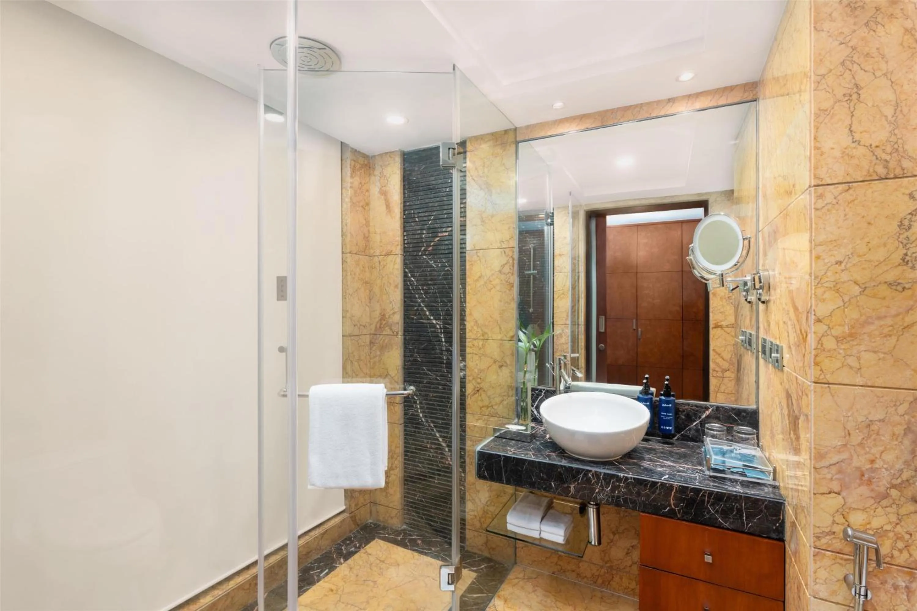 Bathroom in Radisson Blu Plaza Delhi Airport