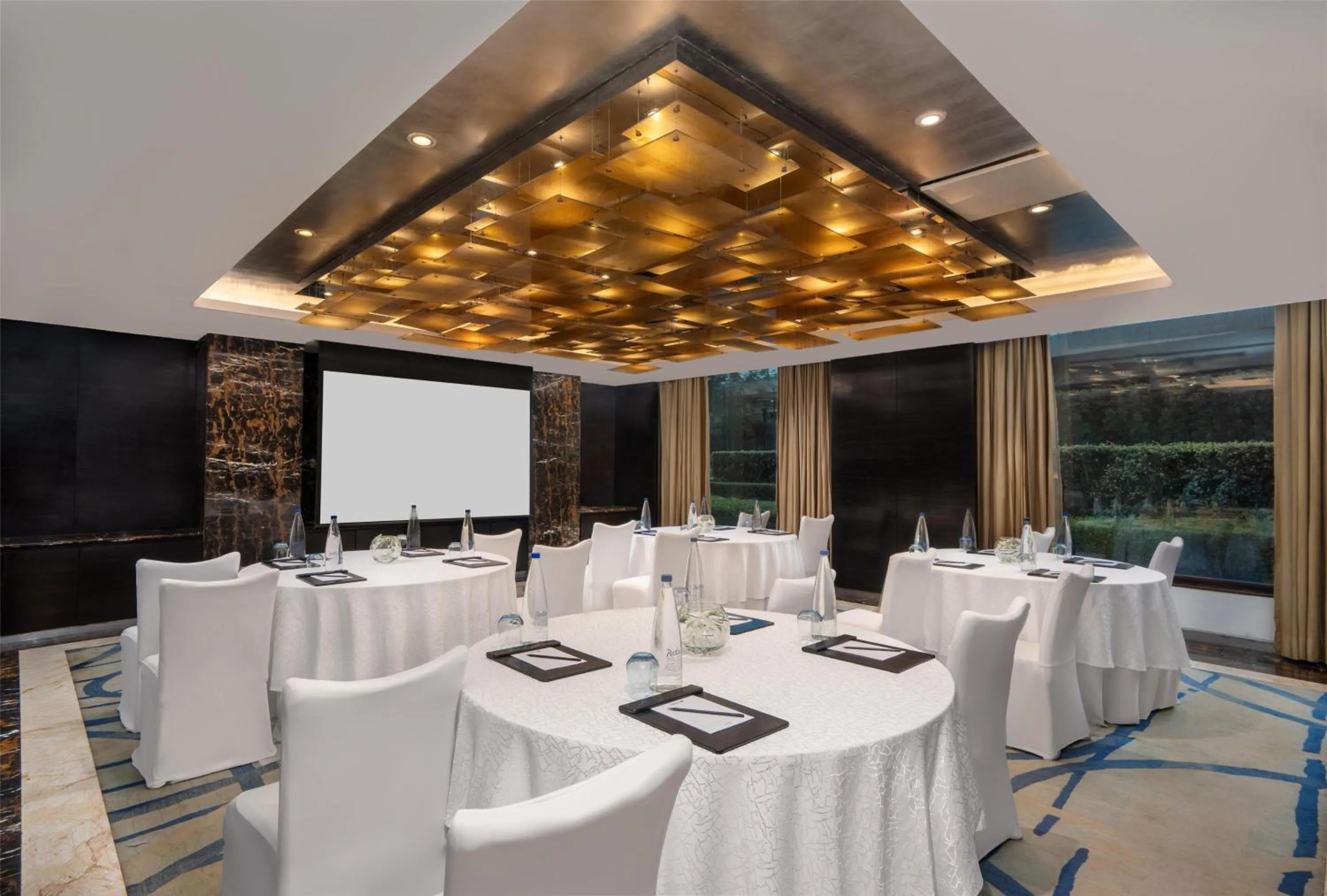 Meeting/conference room in Radisson Blu Plaza Delhi Airport