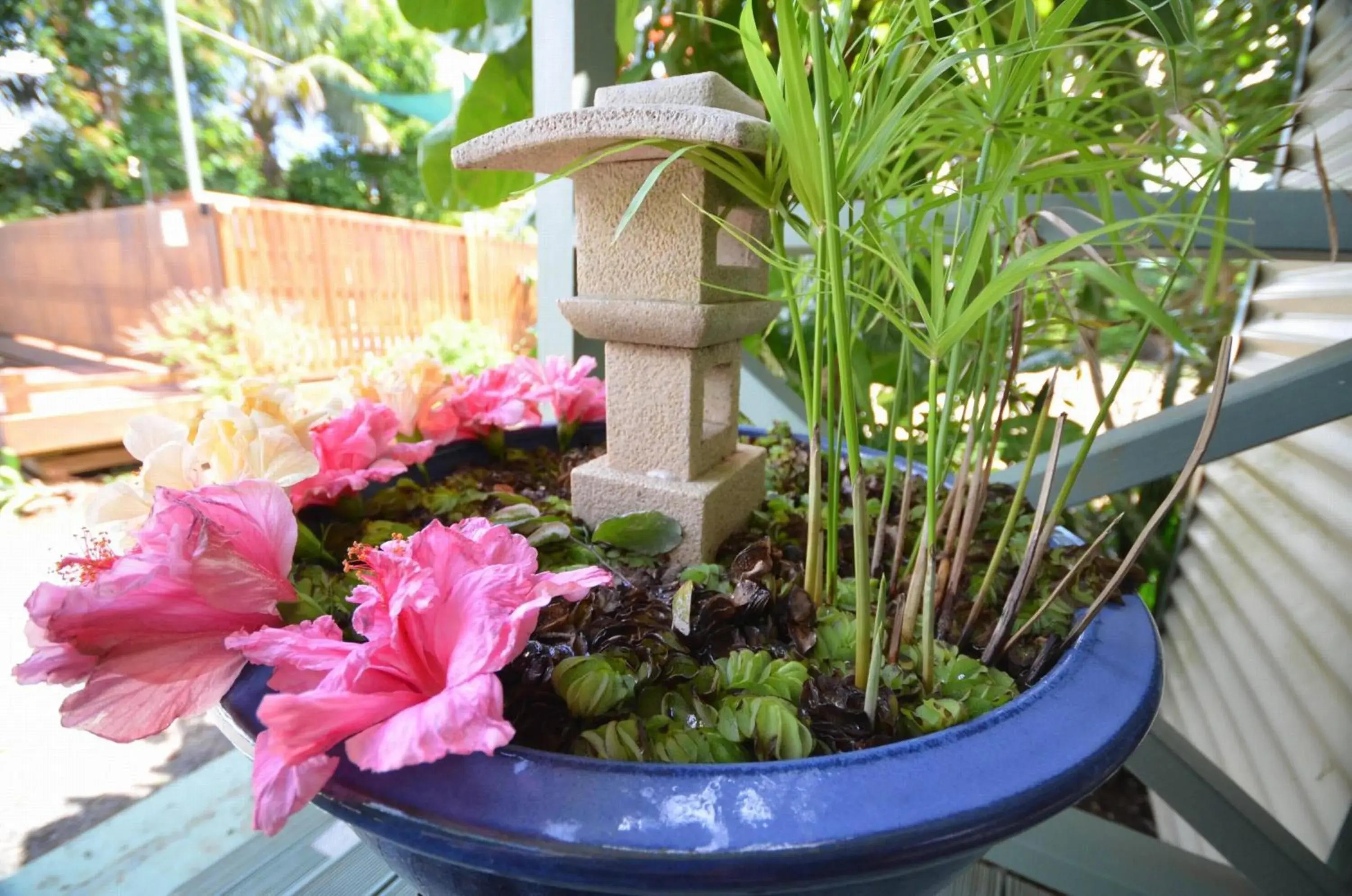 Facade/entrance in Cumberland Resort & Spa Facade/entrance in Cumberland Resort & Spa