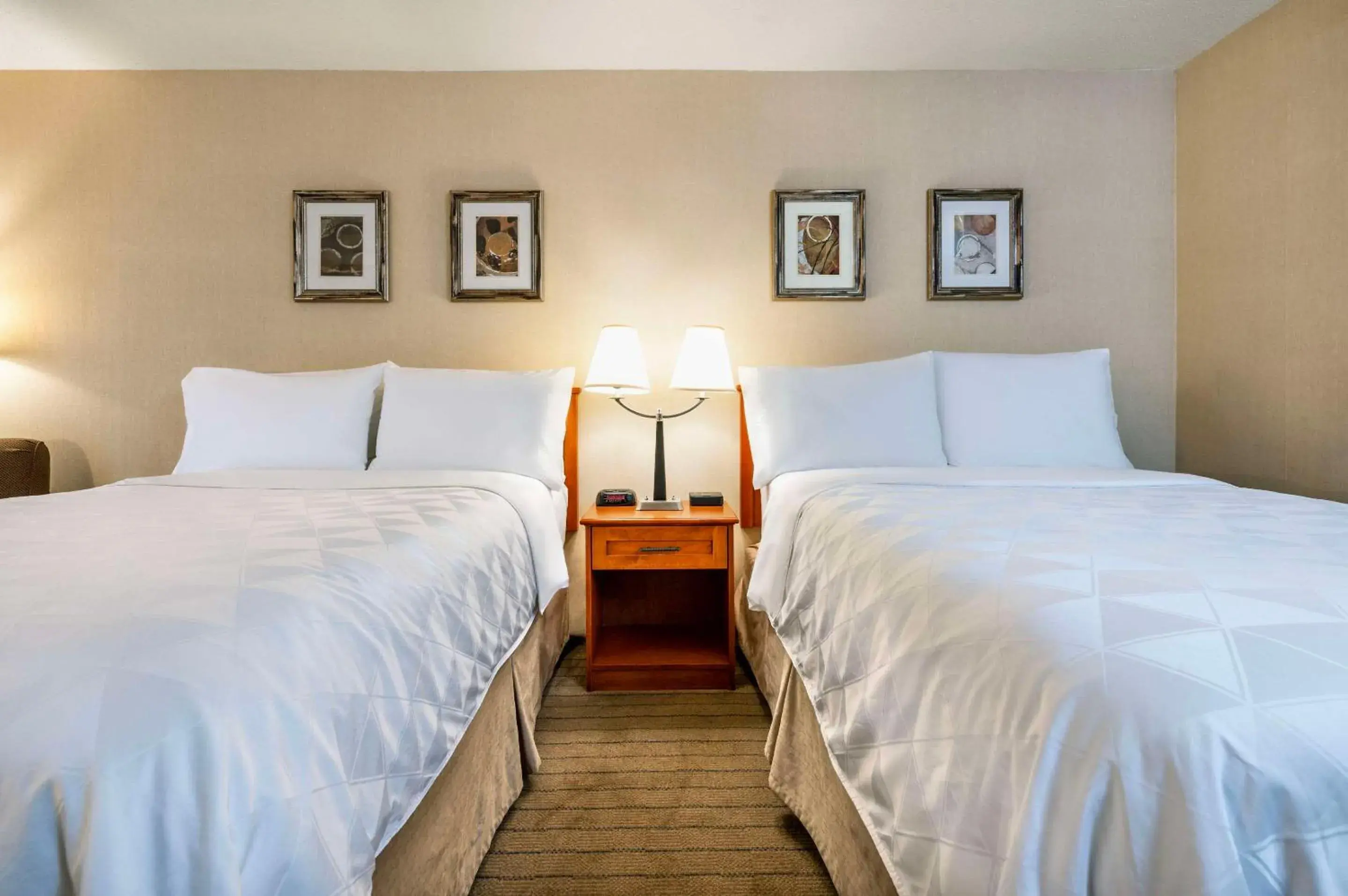 Bedroom in Allure Hotel & Conference Centre, Ascend Hotel Collection Bedroom in Allure Hotel & Conference Centre, Ascend Hotel Collection