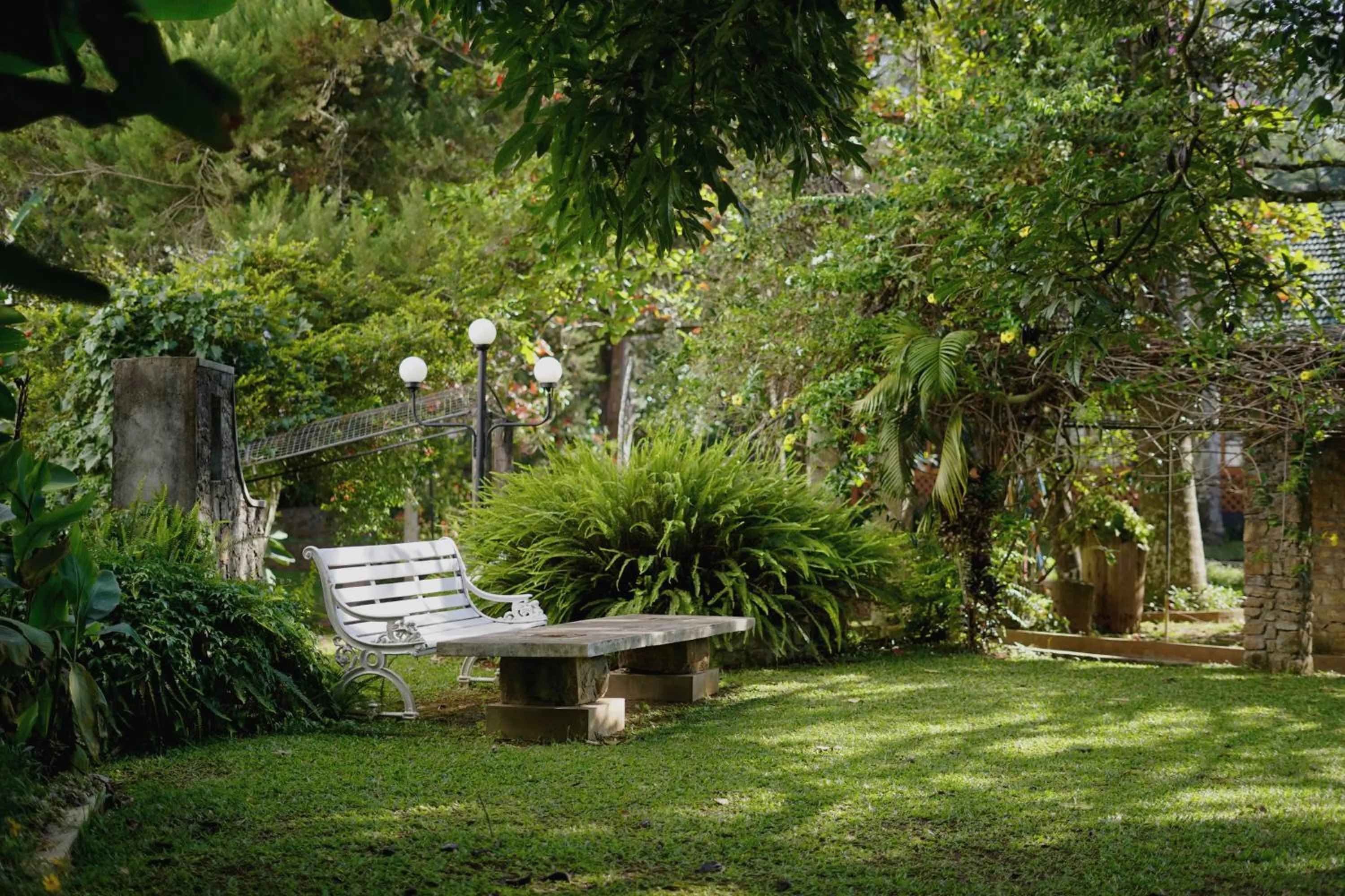 View (from property/room) in Bandarawela Hotel