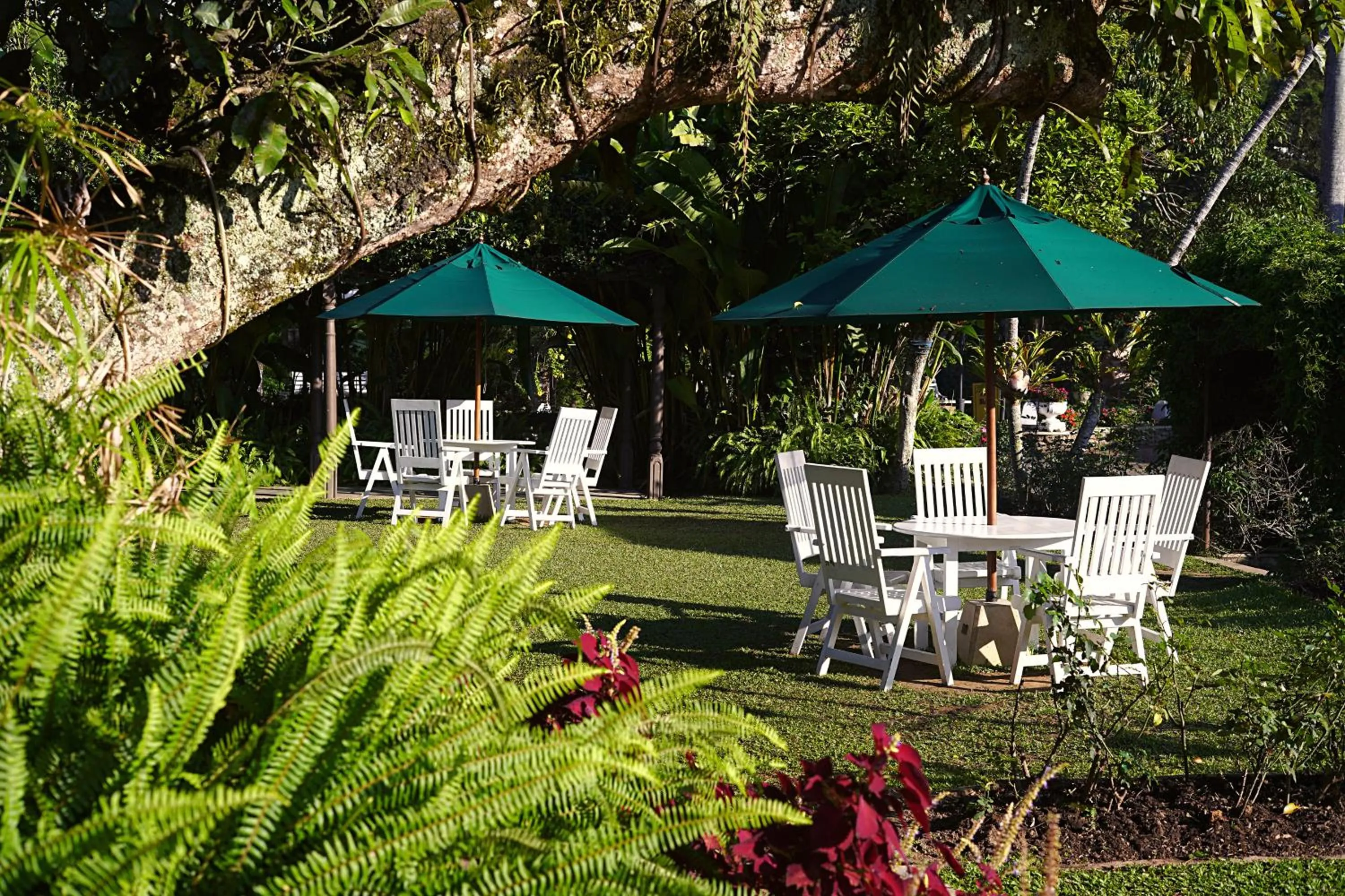 Garden in Bandarawela Hotel