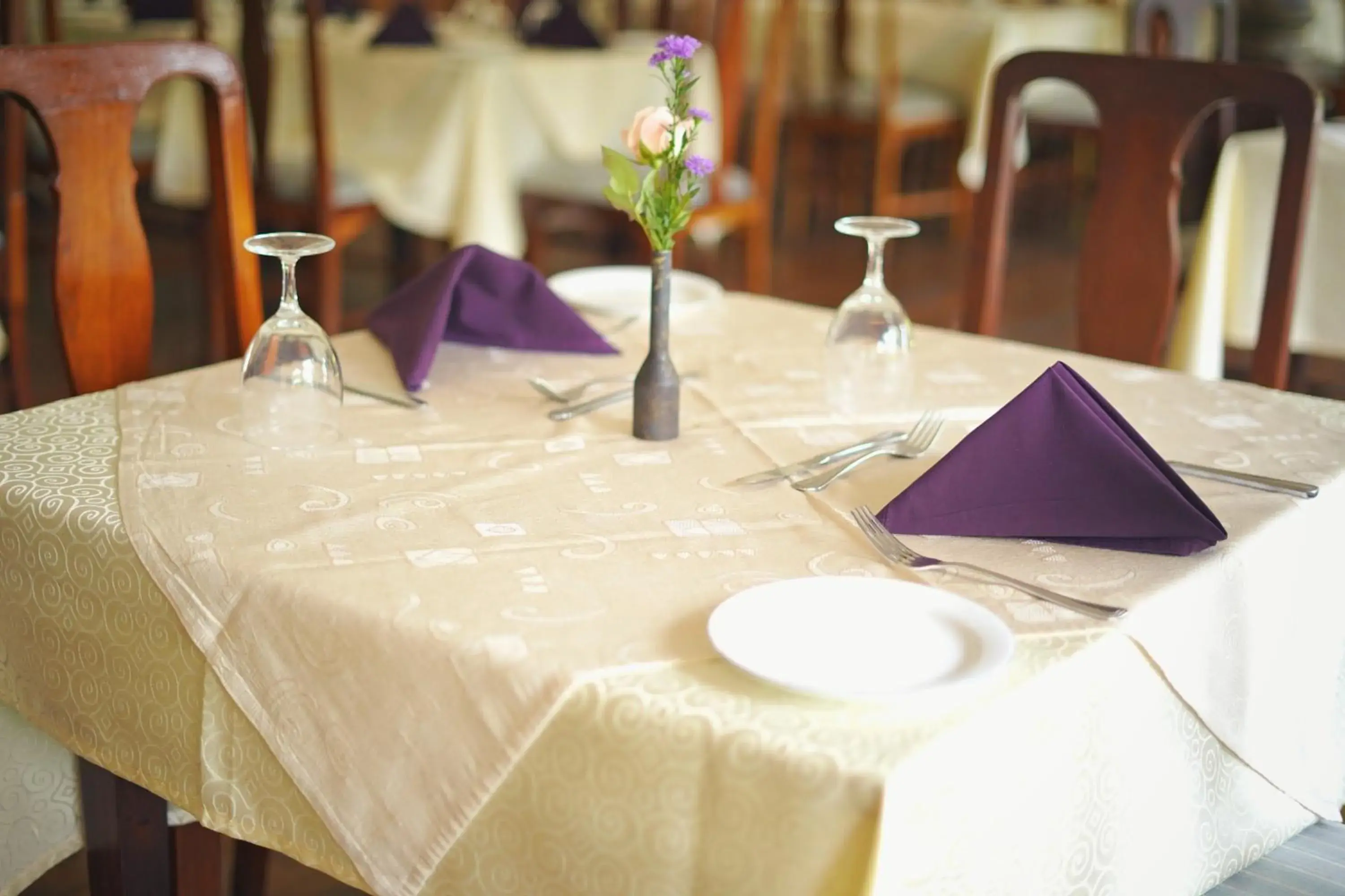 Restaurant/places to eat in Bandarawela Hotel Restaurant/places to eat in Bandarawela Hotel