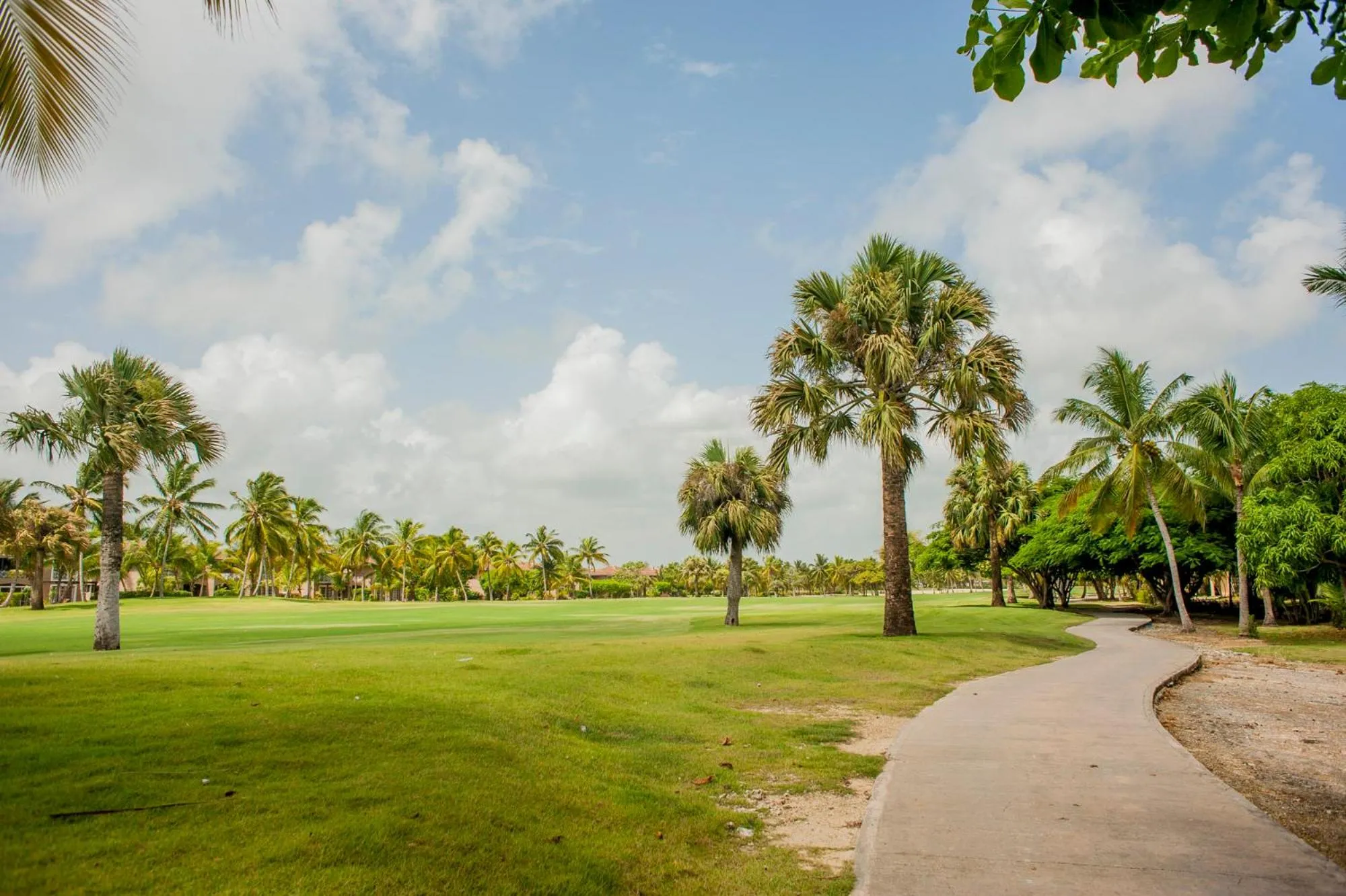 Other in Cocotal Bavaro Apartments