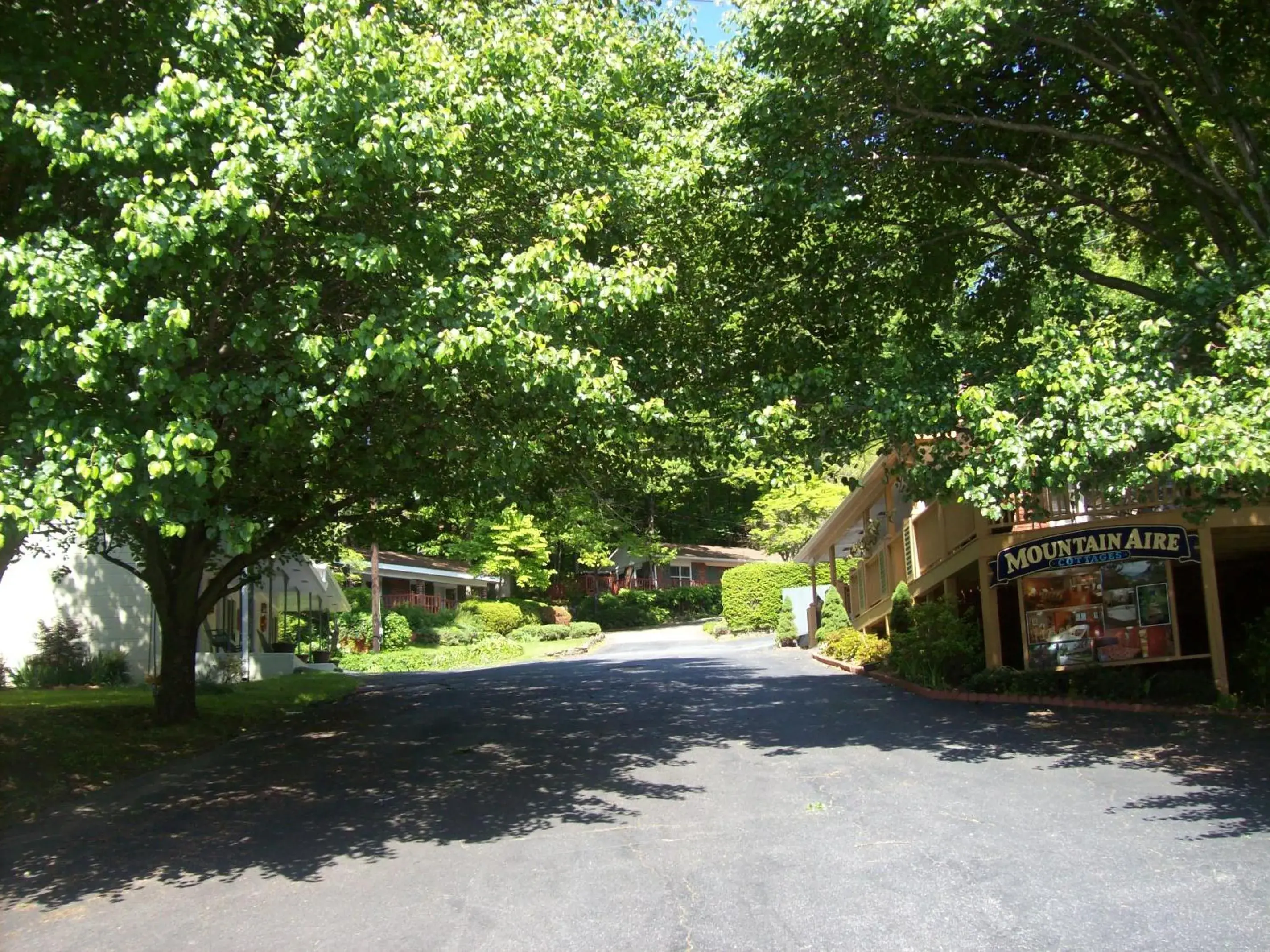 Quiet street view in Mountain Aire Cottages, Inn, & Glamping Quiet street view in Mountain Aire Cottages, Inn, & Glamping