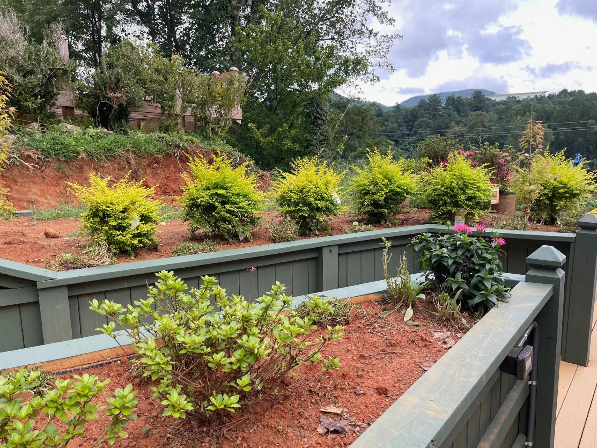 Day in Mountain Aire Cottages, Inn, & Glamping