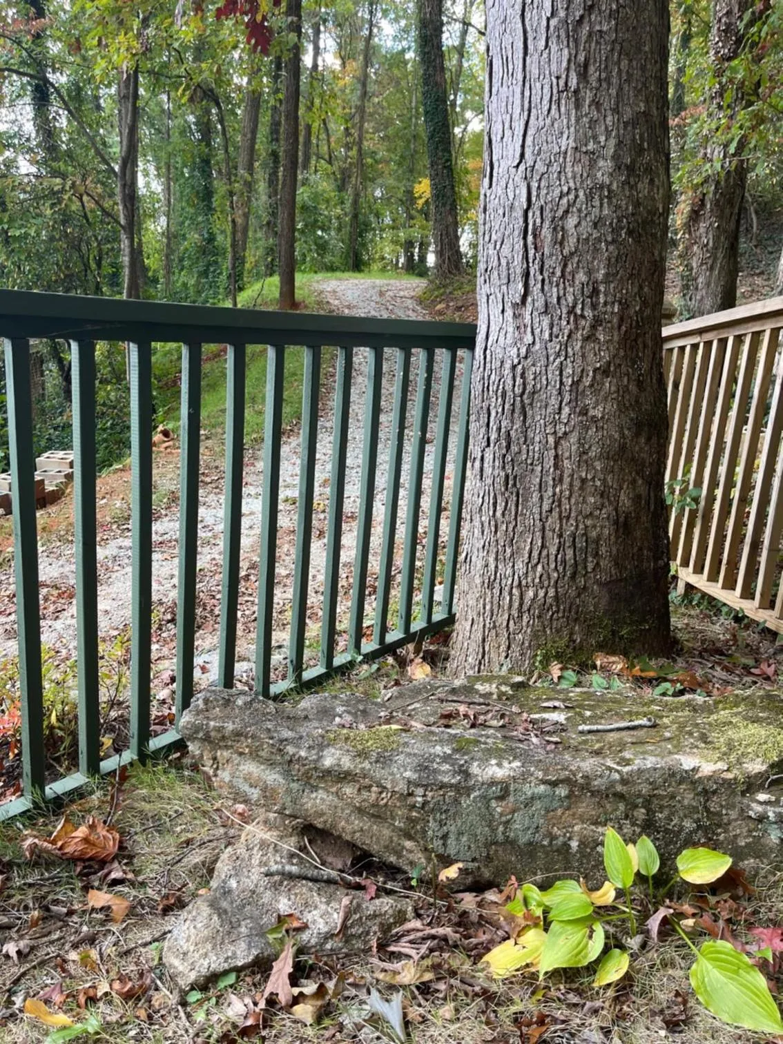 Day in Mountain Aire Cottages, Inn, & Glamping