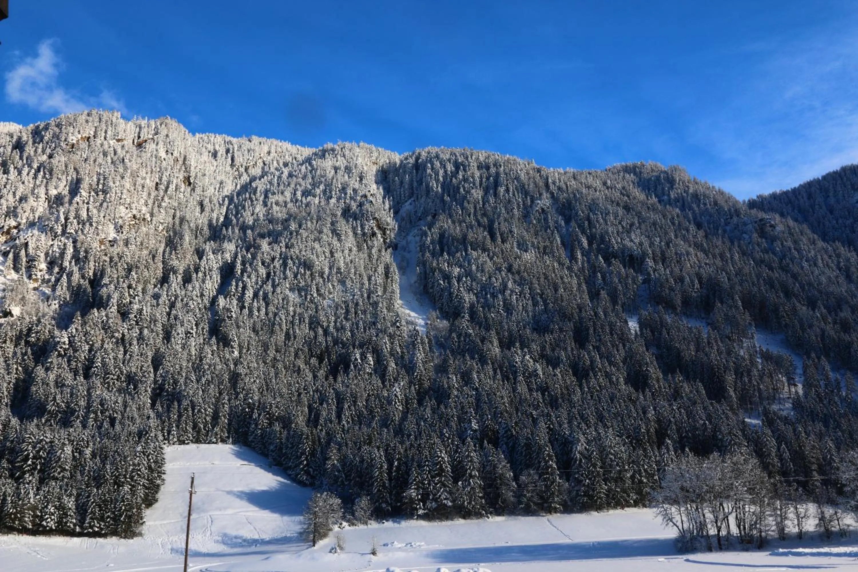 Winter in Apart-Garni Alpevita