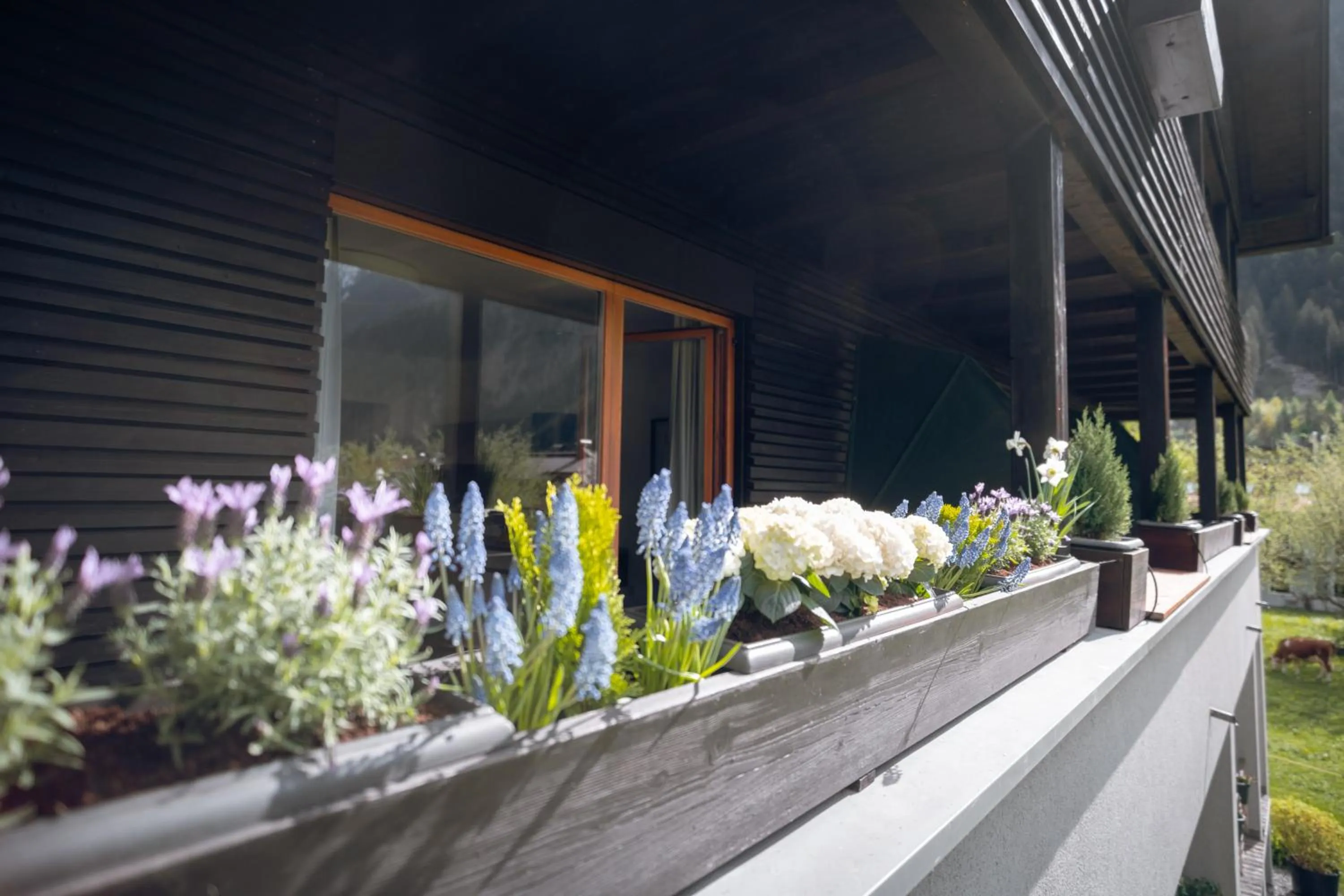 View (from property/room) in Apart-Garni Innerwiesn