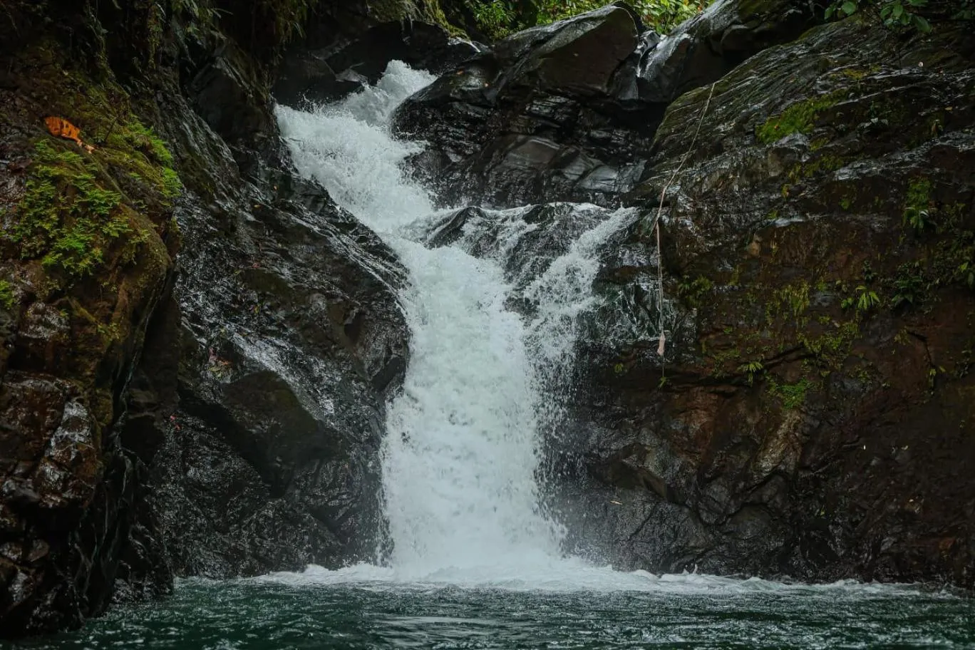 Santa Juana Lodge & Nature Reserve