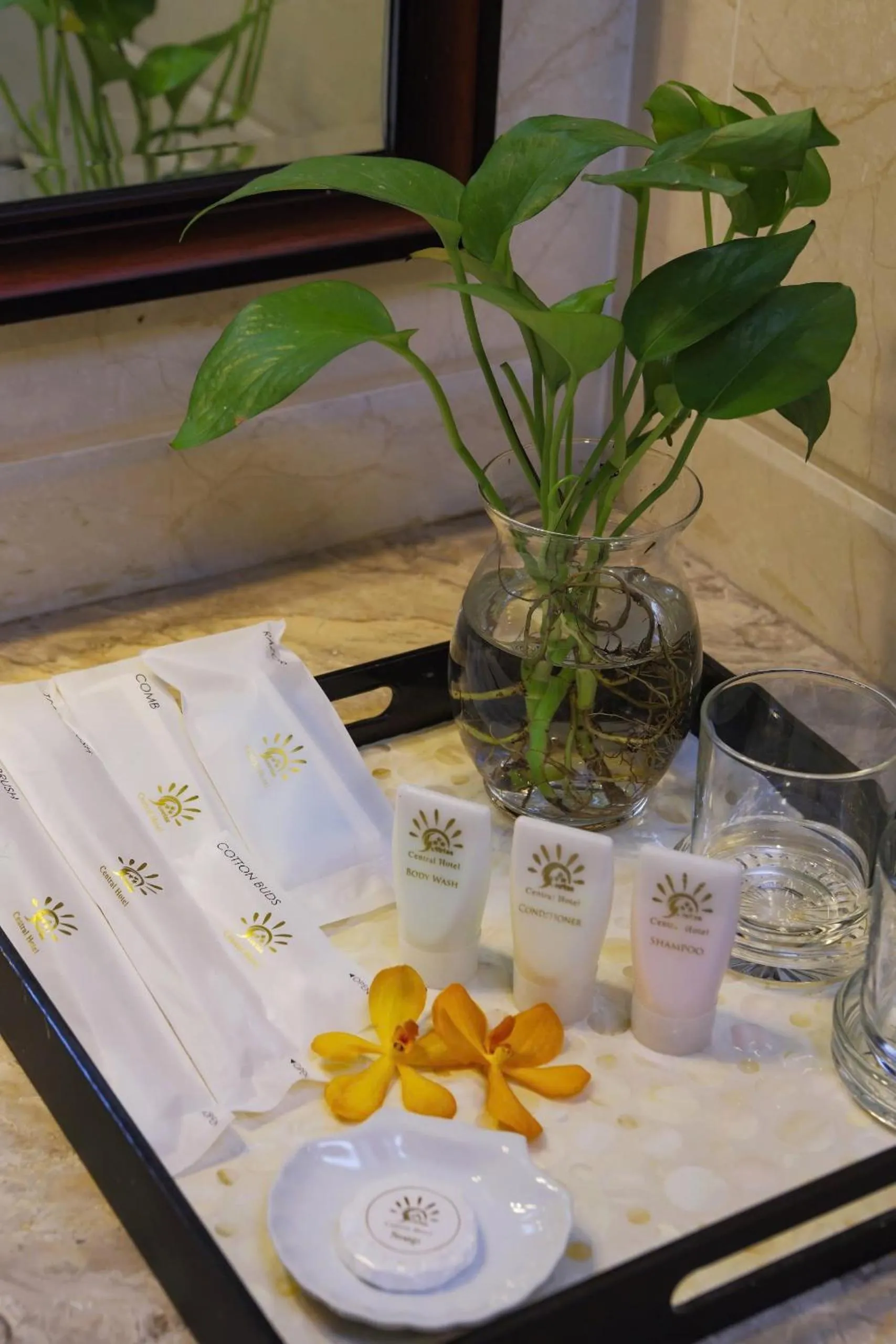 Sunrise Central Hotel