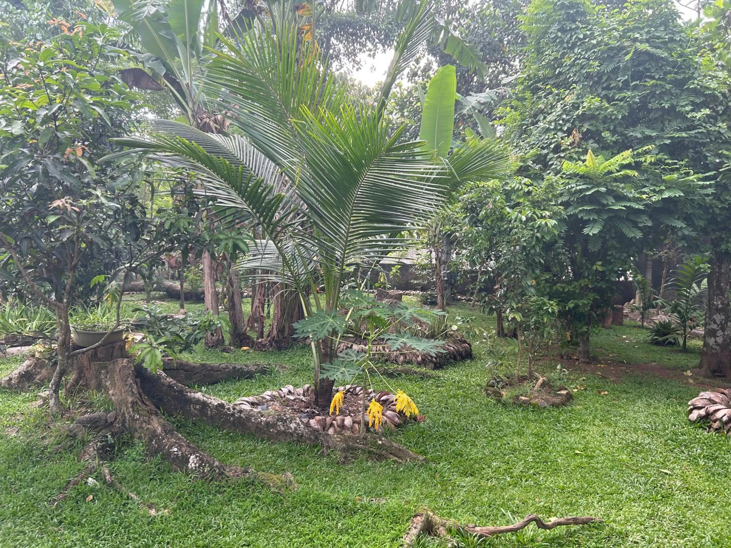 Family Room with Garden View - single occupancy in Thomasz Lodge