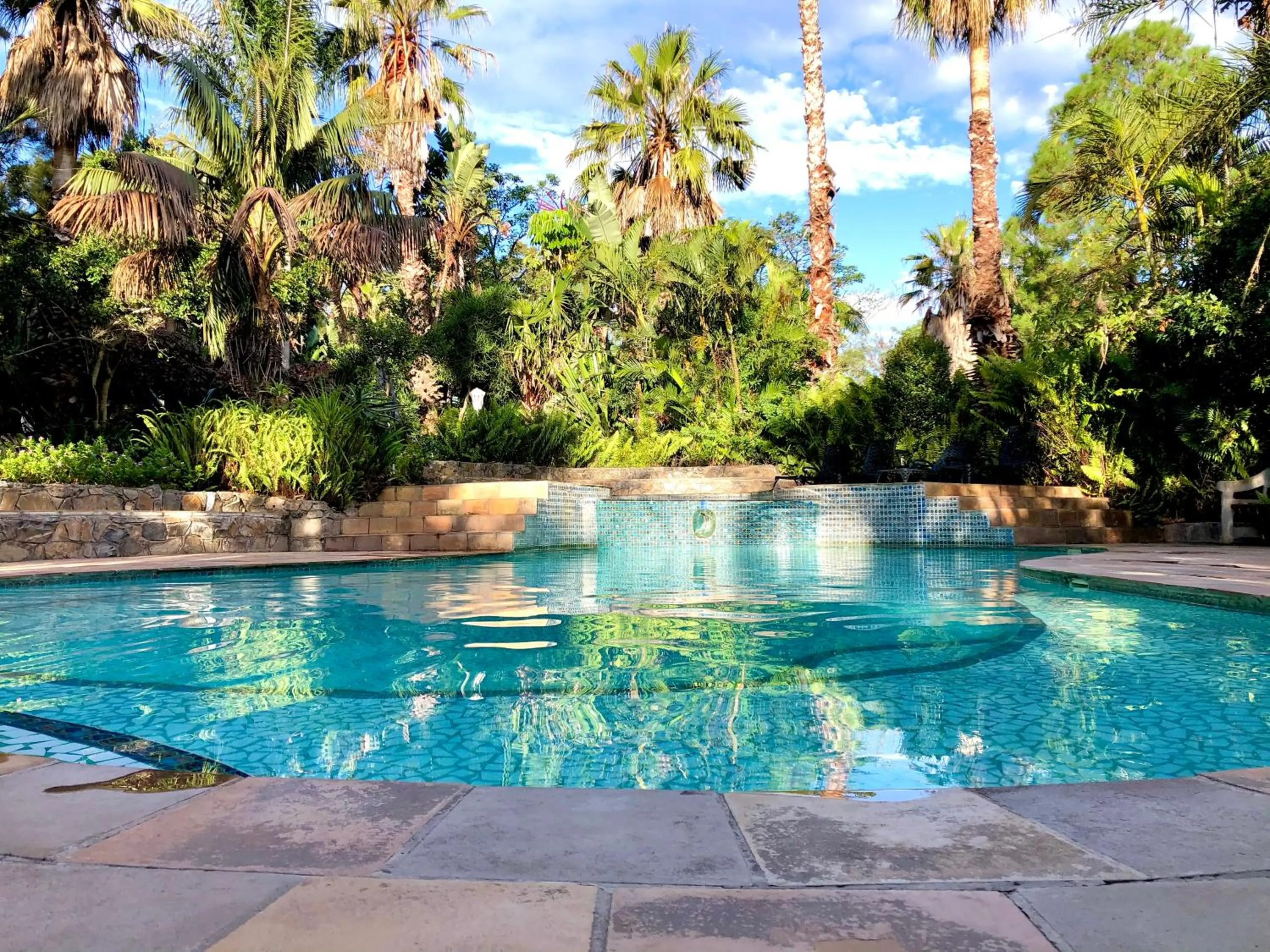 Swimming pool in Areena Riverside Resort