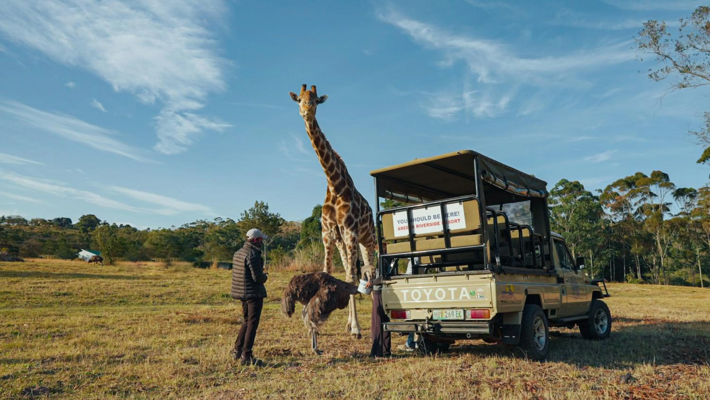 Animals in Areena Riverside Resort