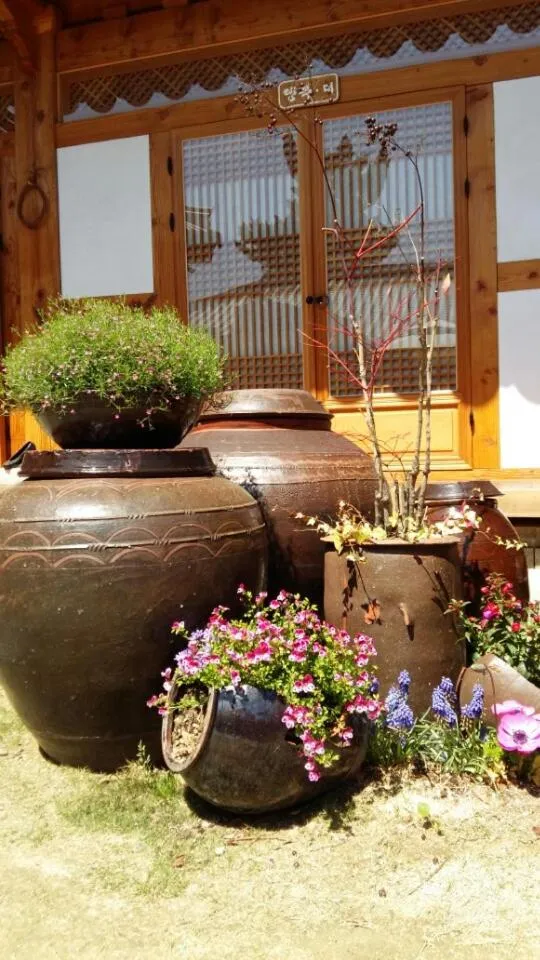 The Mumum Guesthouse