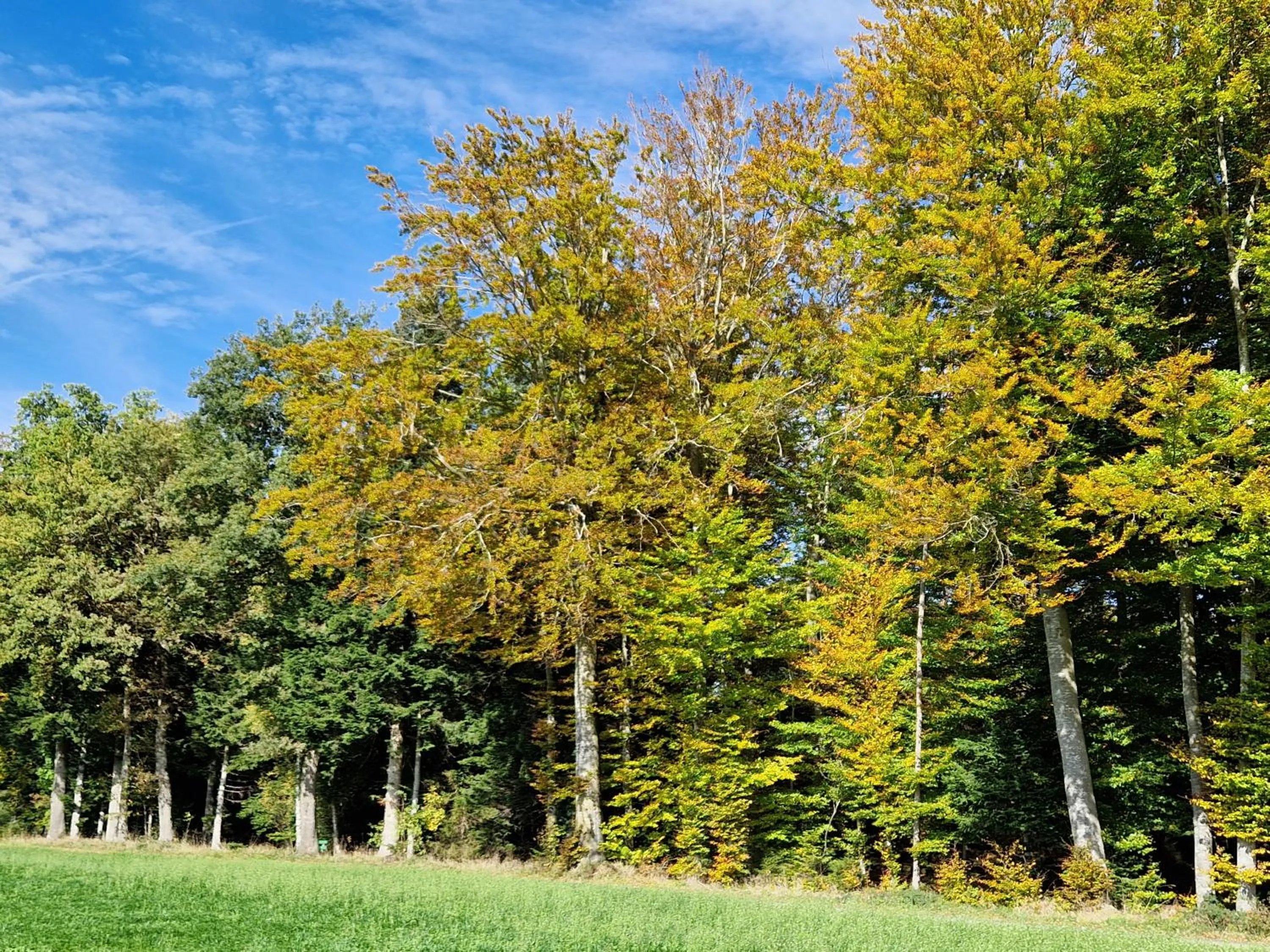 Hiking in Hotel Bären