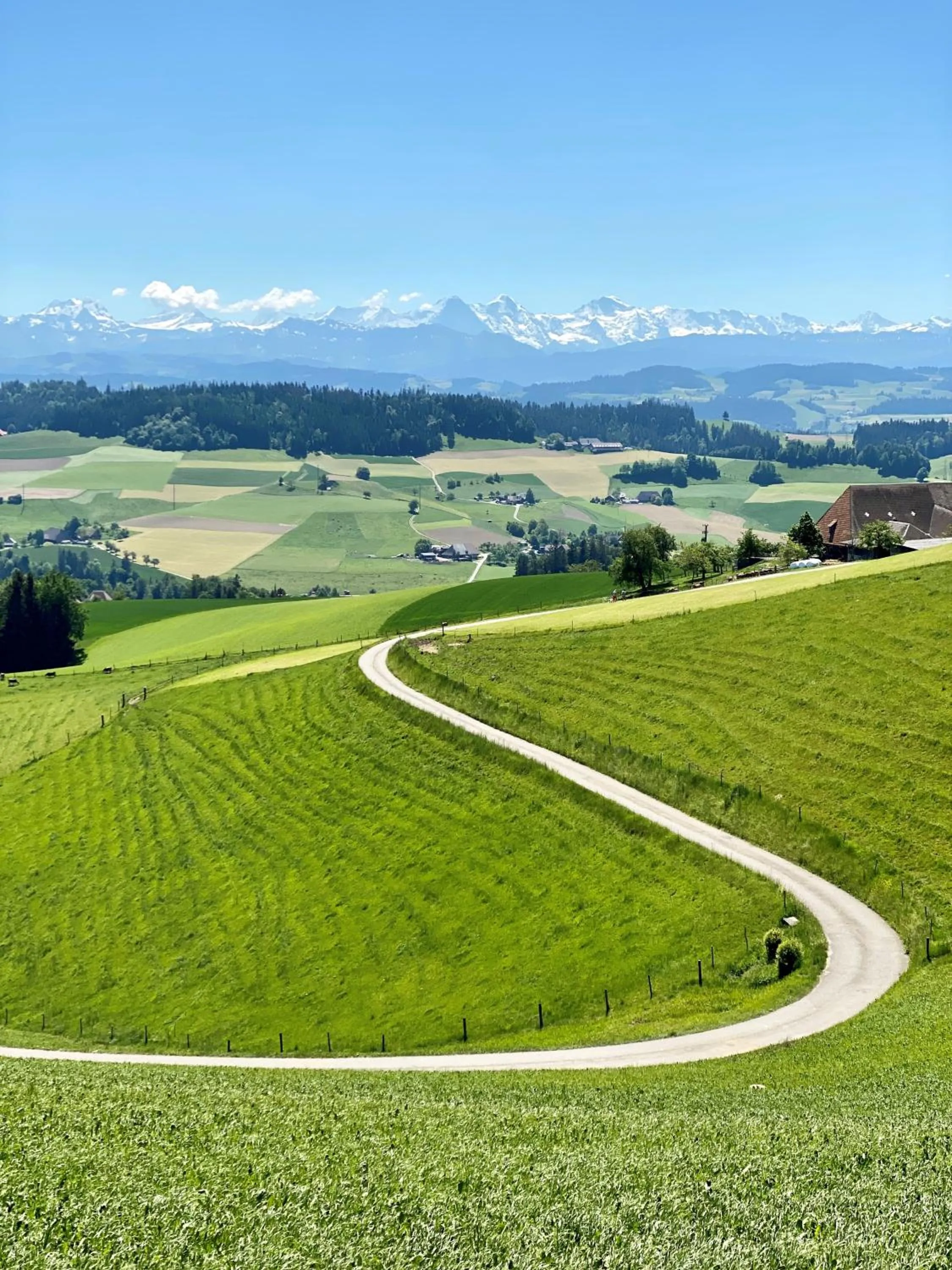 Cycling in Hotel Bären