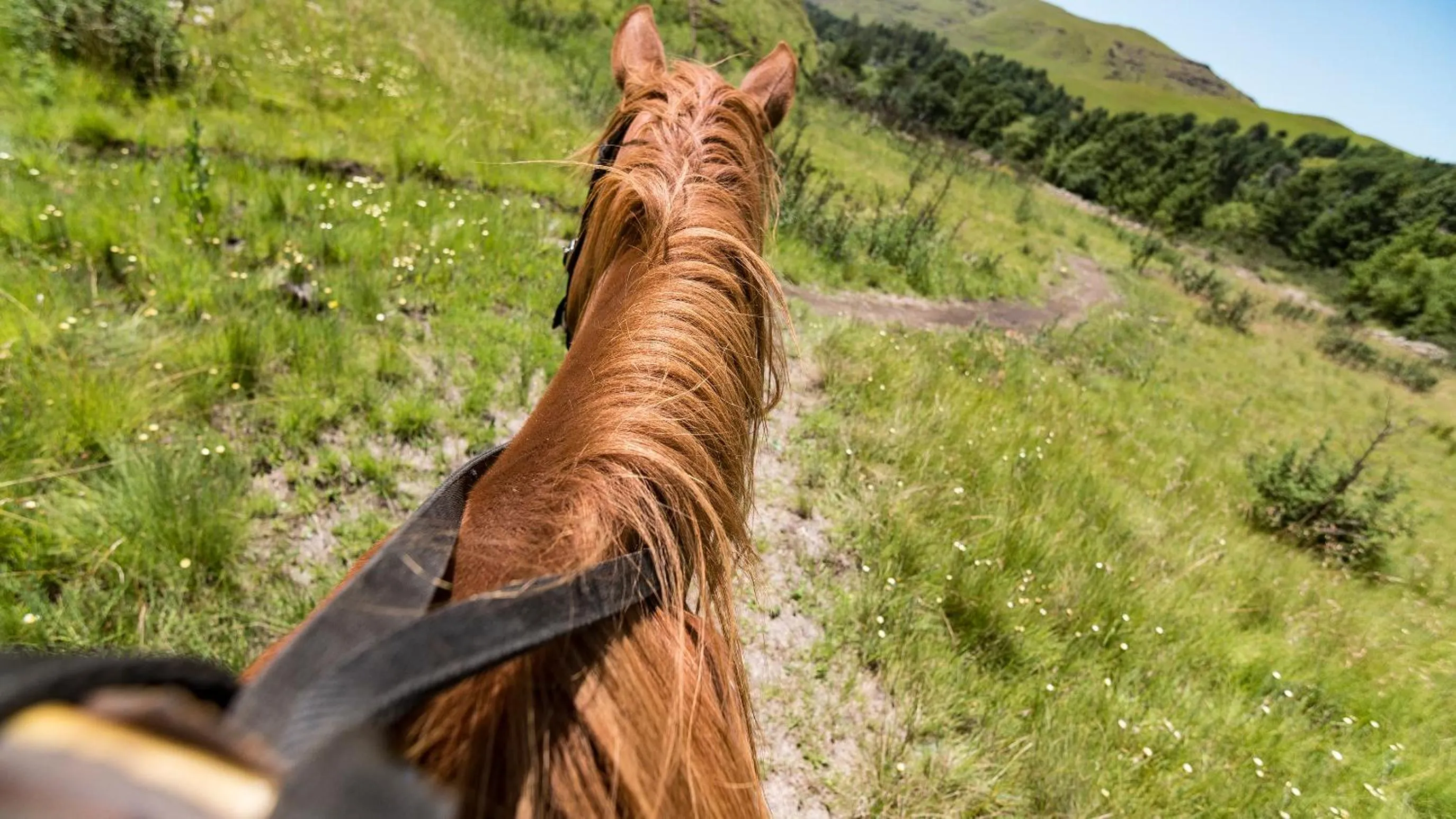 Activities in Gooderson Drakensberg Gardens Golf & Spa Resort