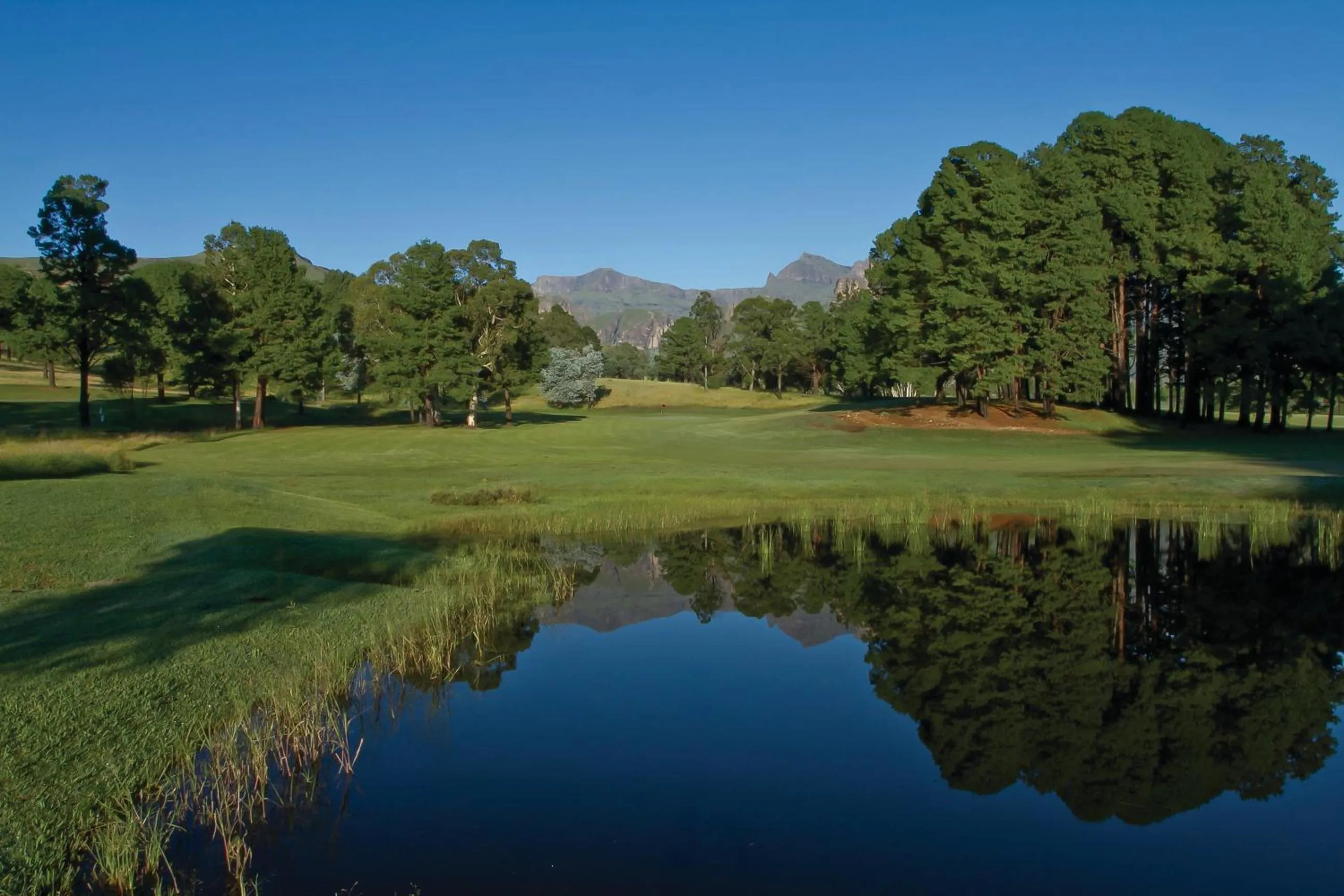 Golfcourse in Gooderson Drakensberg Gardens Golf & Spa Resort