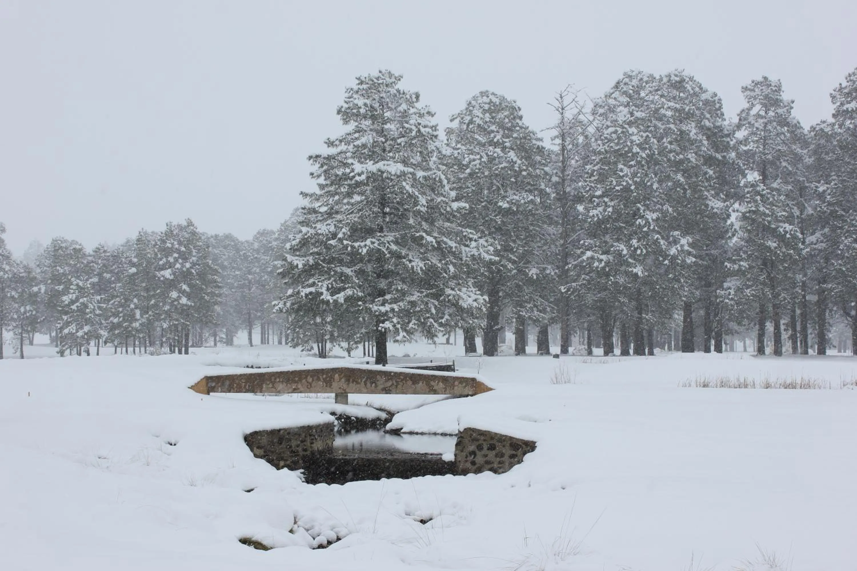Natural landscape in Gooderson Drakensberg Gardens Golf & Spa Resort