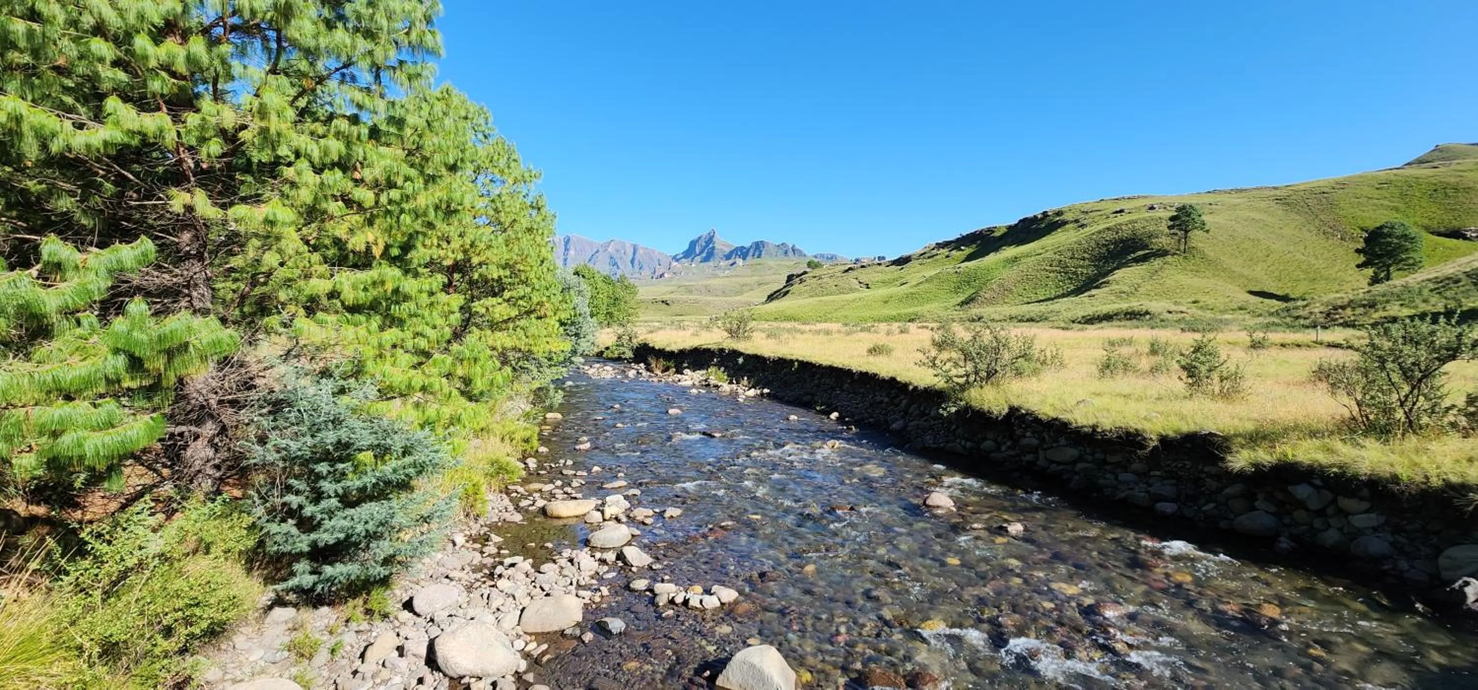Garden in Gooderson Drakensberg Gardens Golf & Spa Resort