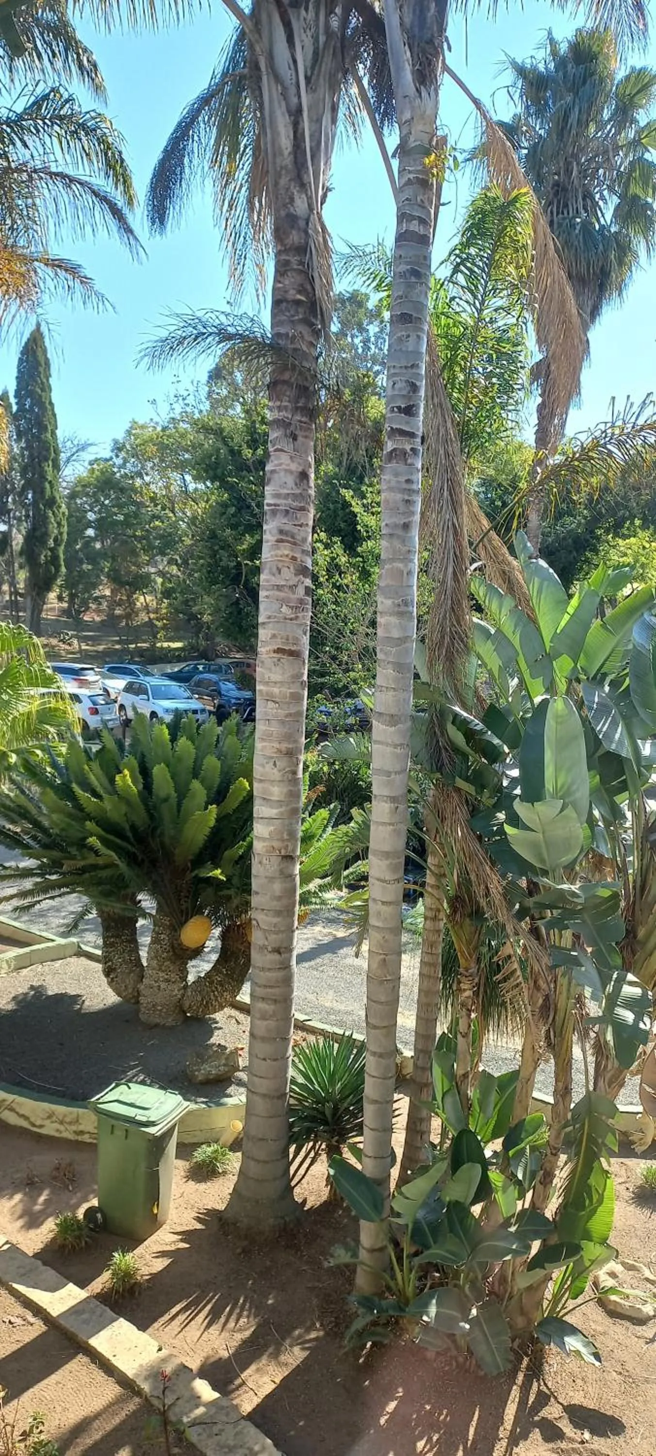 View (from property/room) in Gooderson Natal Spa Hot Springs Resort