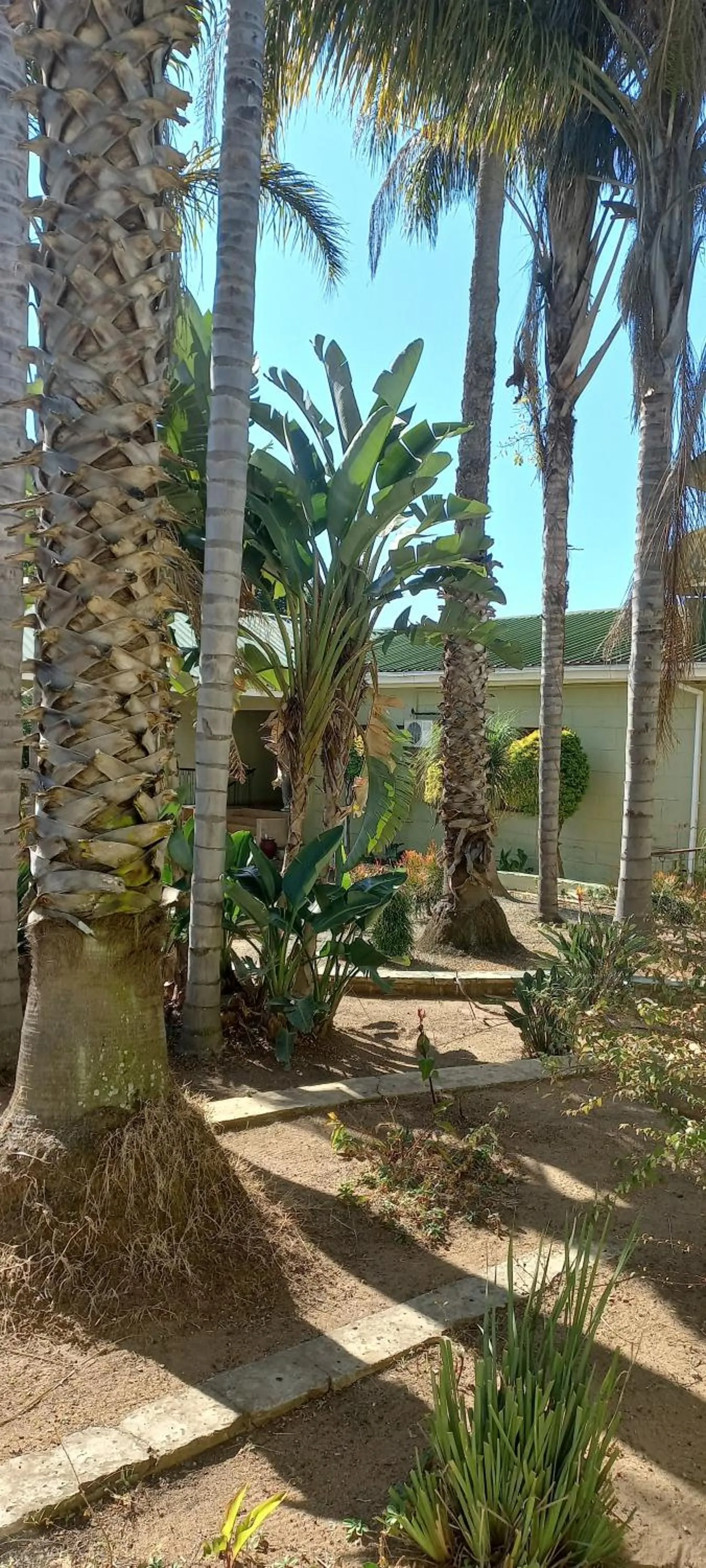 Garden in Gooderson Natal Spa Hot Springs Resort